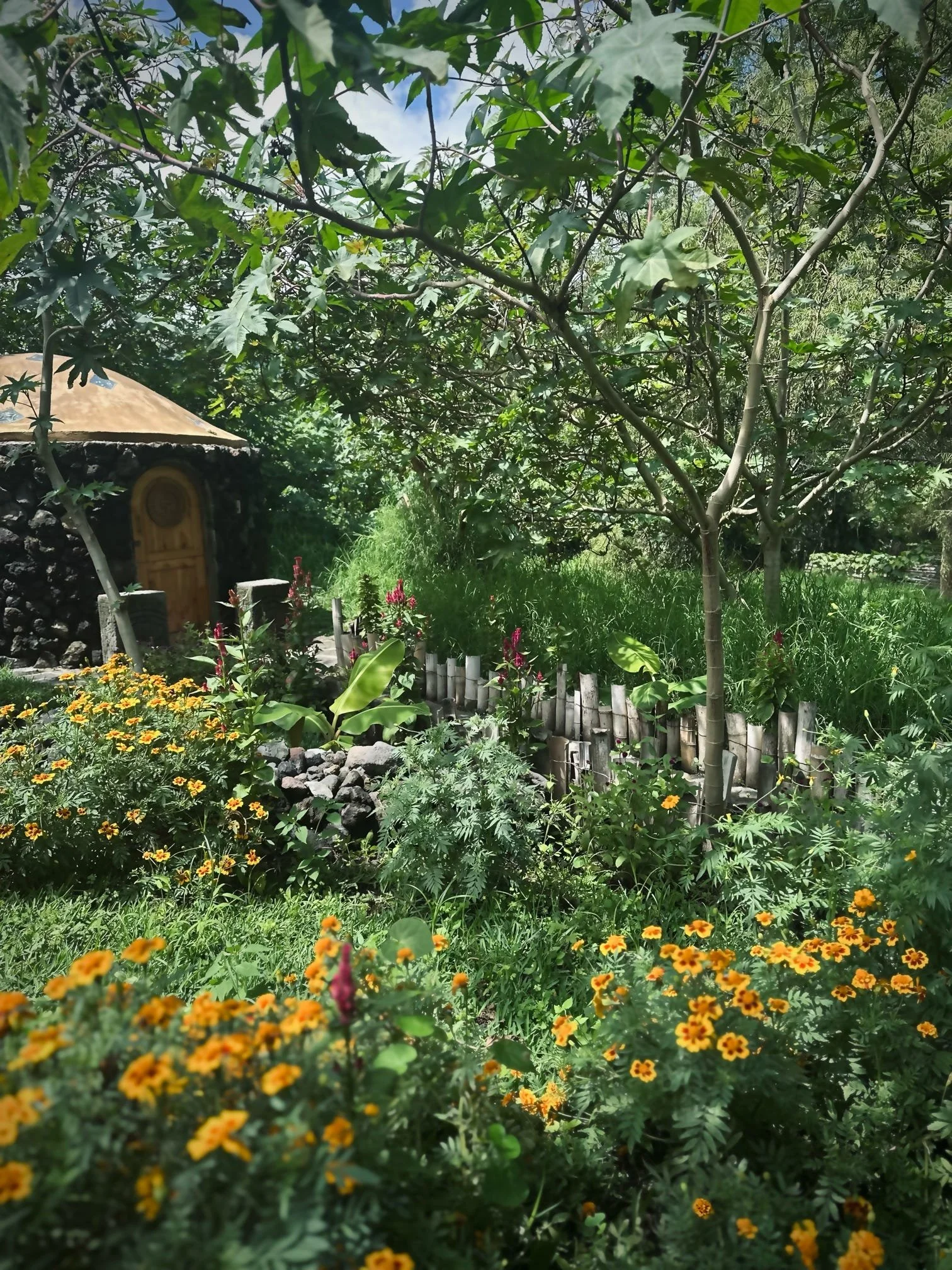 000104.jpg