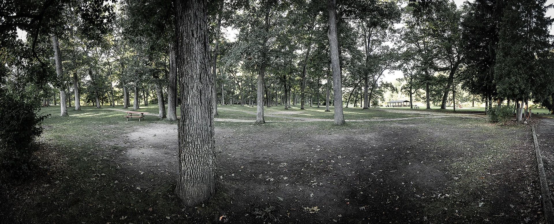 simpson-h-woods-creep-1-iphone-16-min.jpg