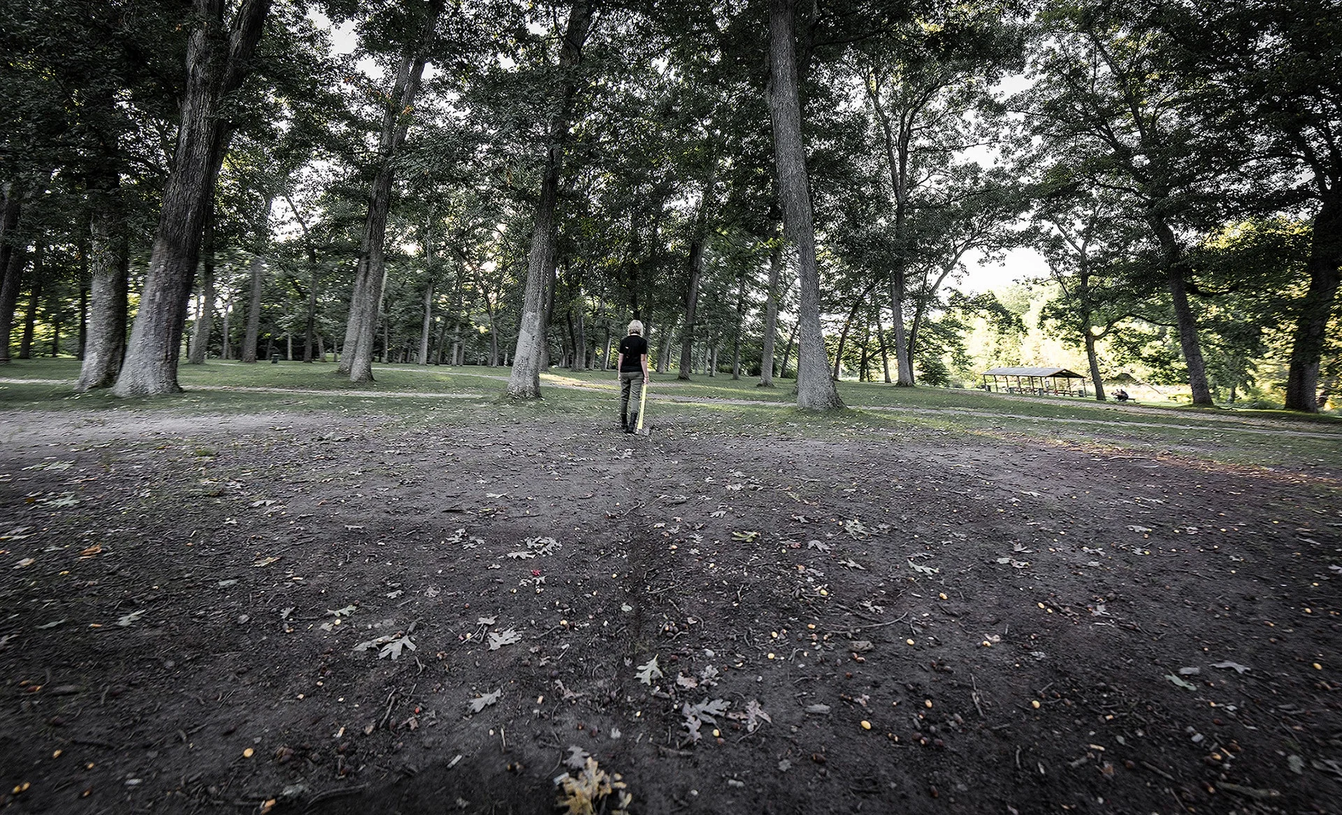 simpson-h-woods-creep-1-iphone-10-min.jpg