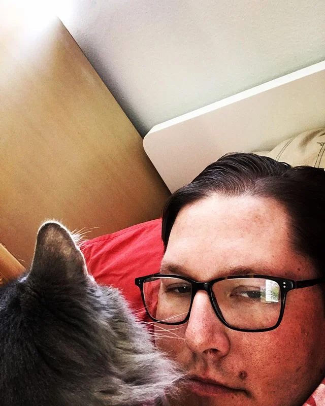 &ldquo;Cat Song 3&rdquo; Streaming Online June 23rd.