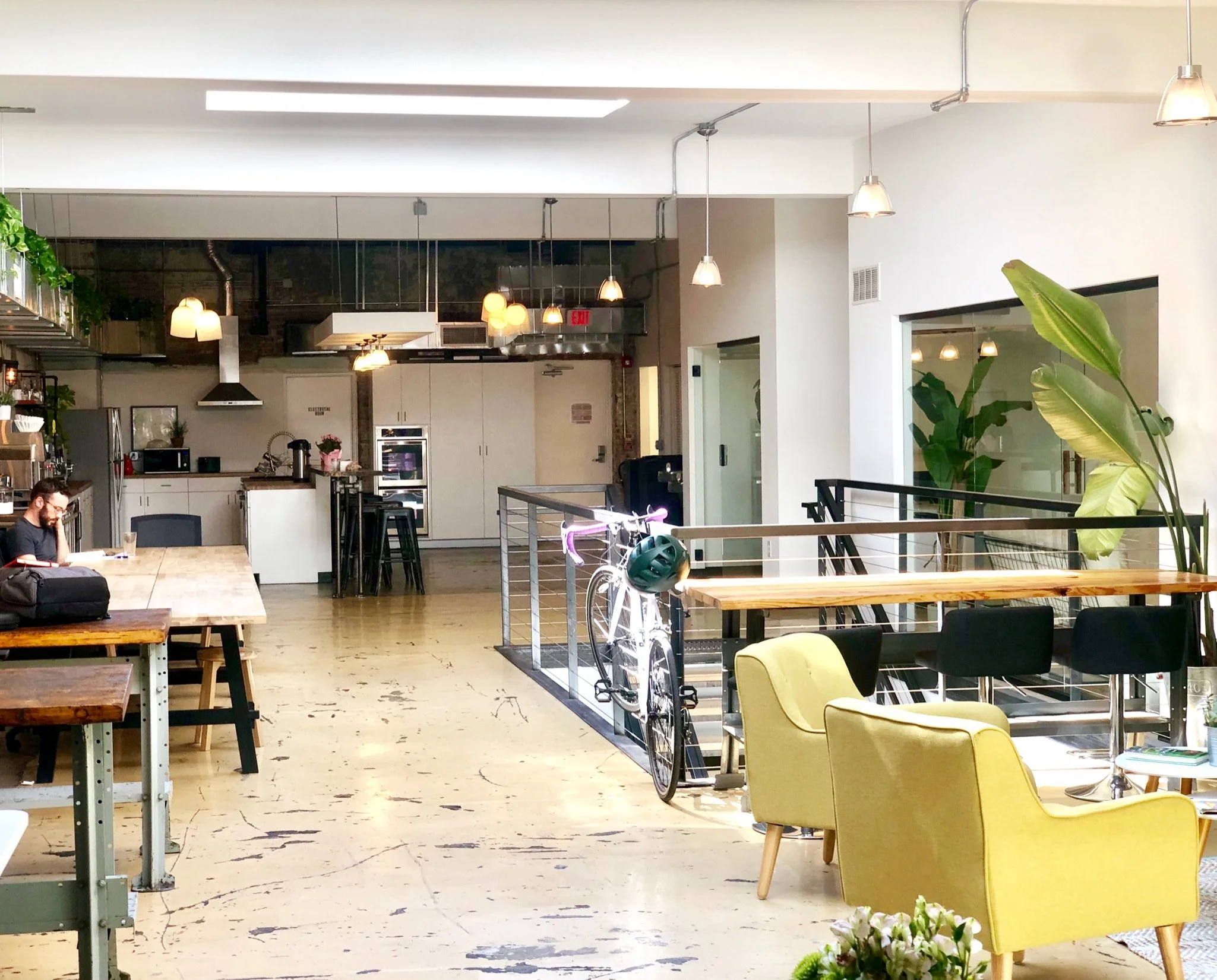 Nest Raleigh