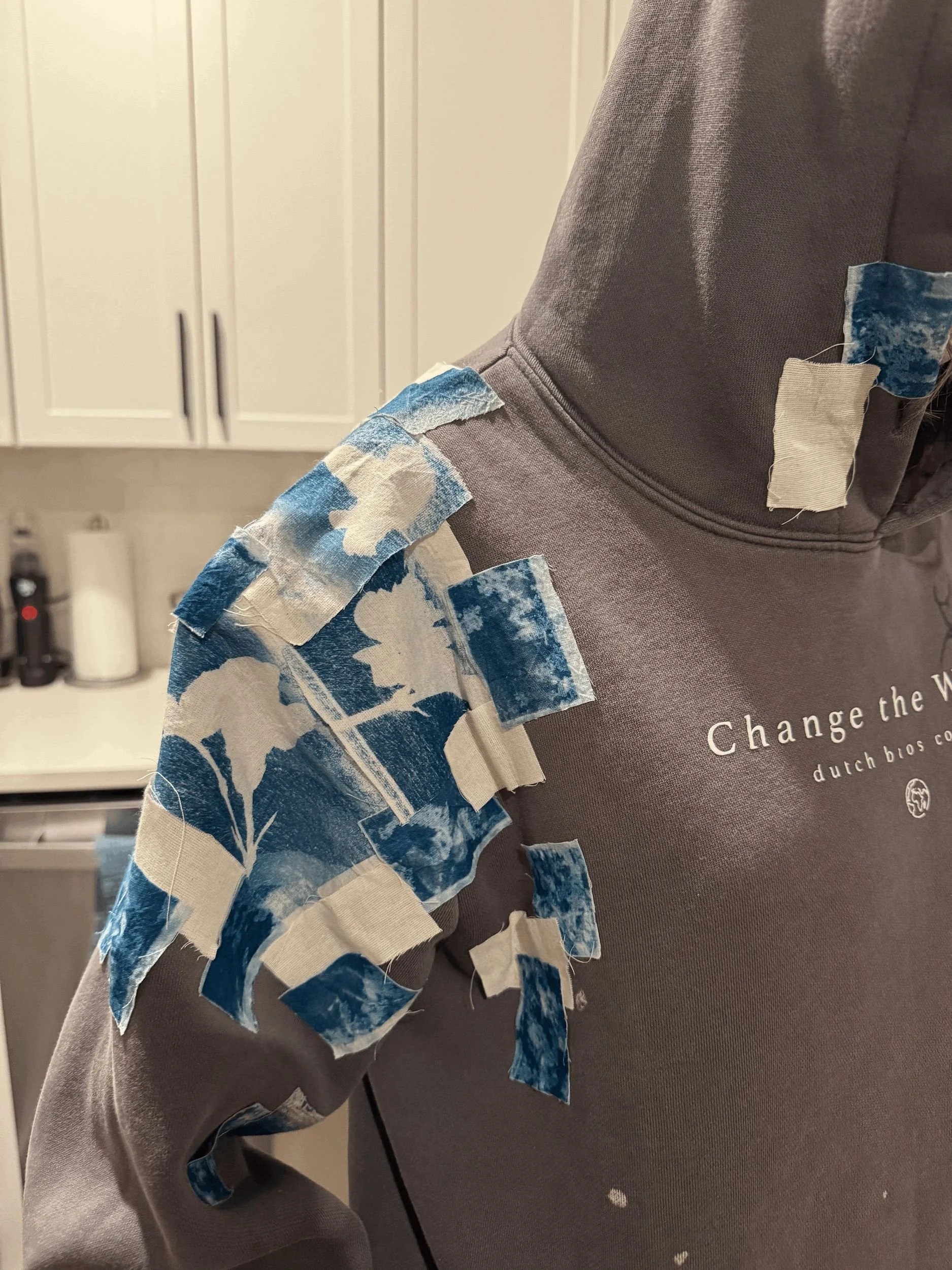 project 2_ modular selves.jpeg