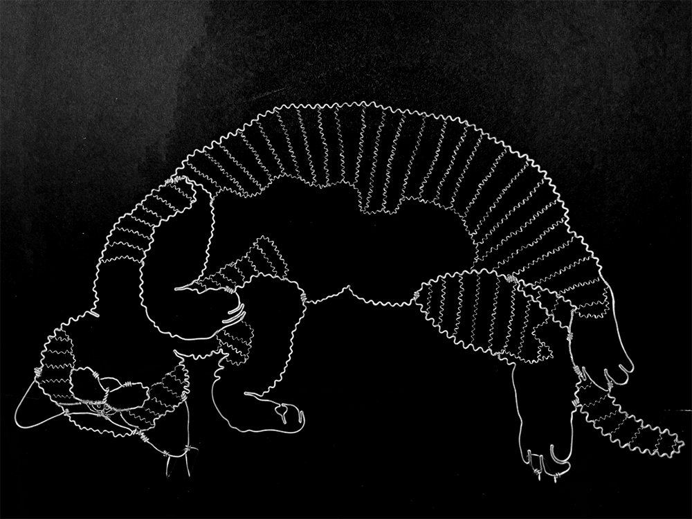 FullSizeRender copy.jpg