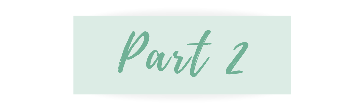 The Social Landing Page Banner.png