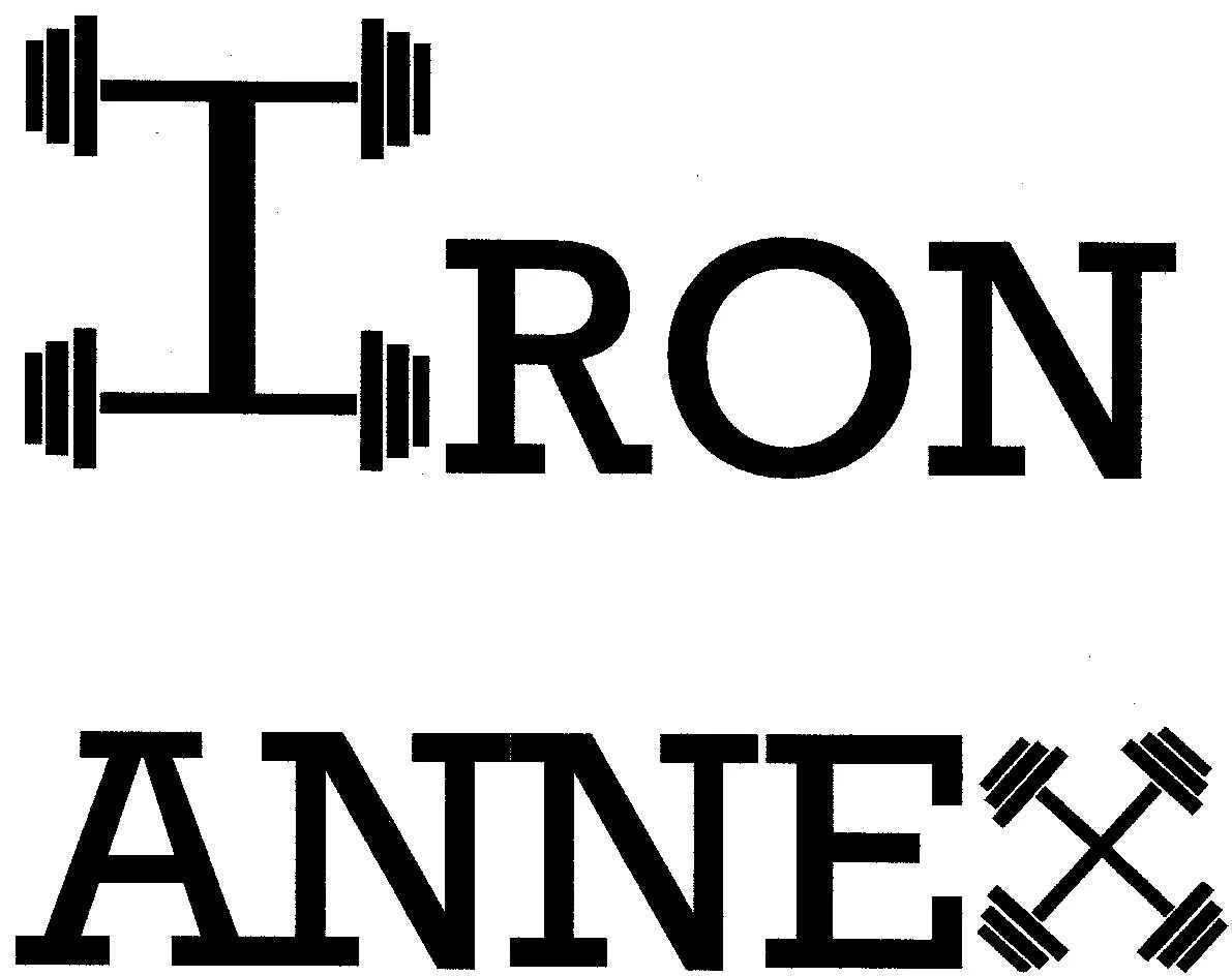 Iron Annex Logo 2017 by Jensen0007.jpg