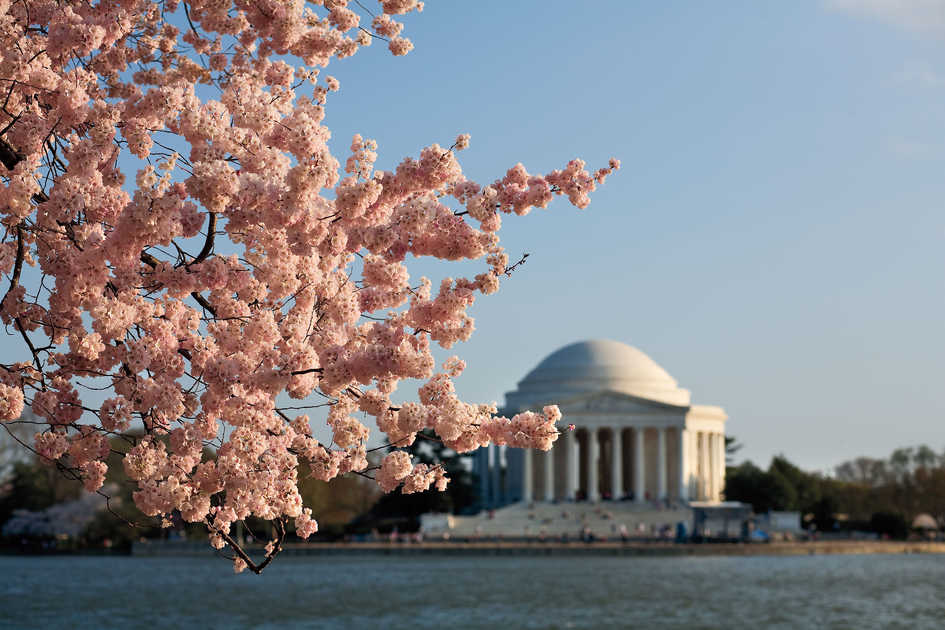Jefferson Memorial