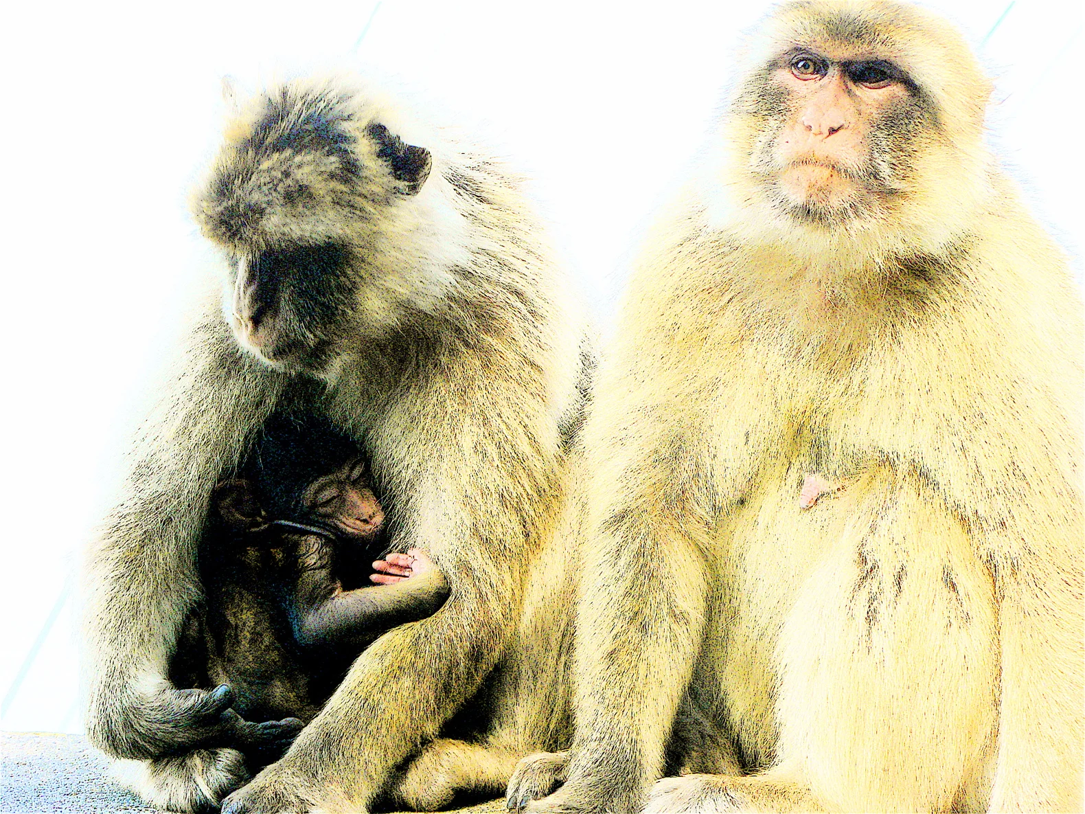 untitled album 21 - 062.jpg