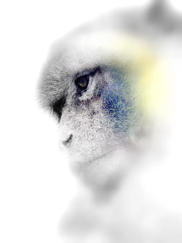 untitled album 21 - 060.jpg