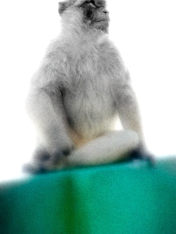 untitled album 21 - 061.jpg