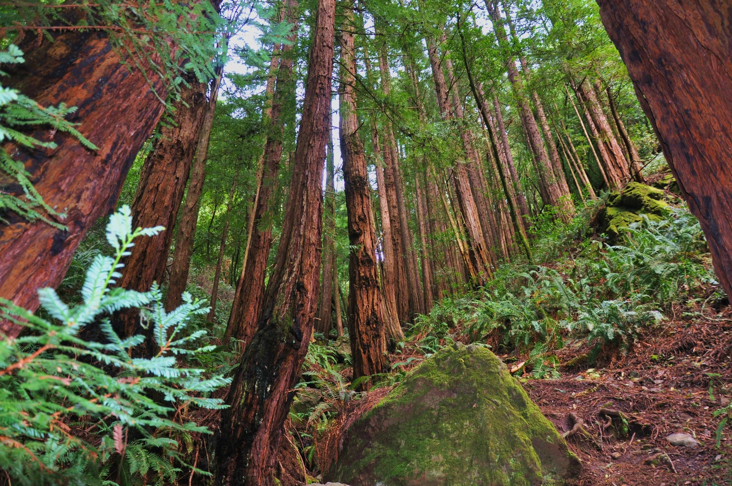 California 2010 168.JPG