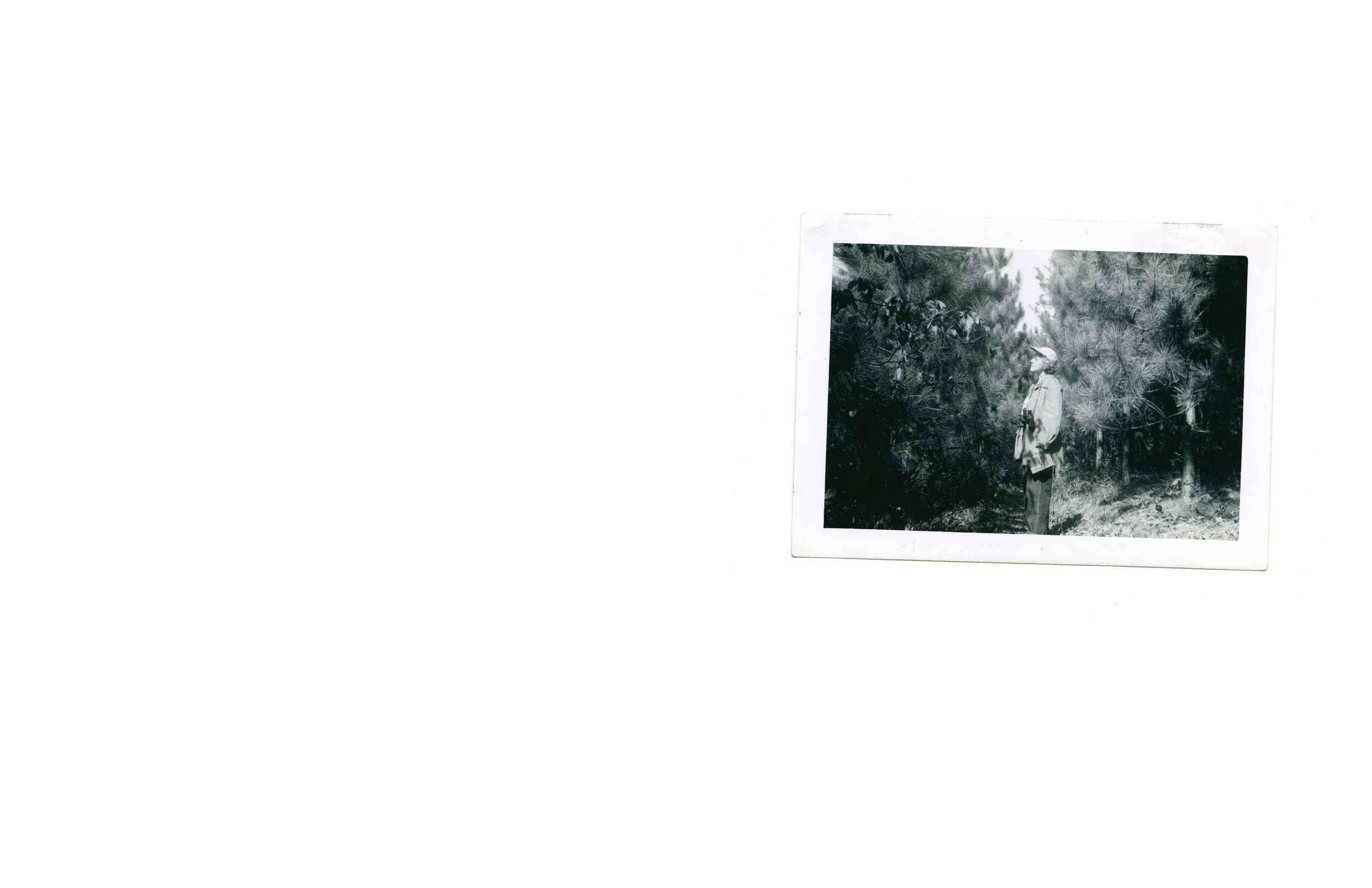 final print maybe_Page_22.jpg