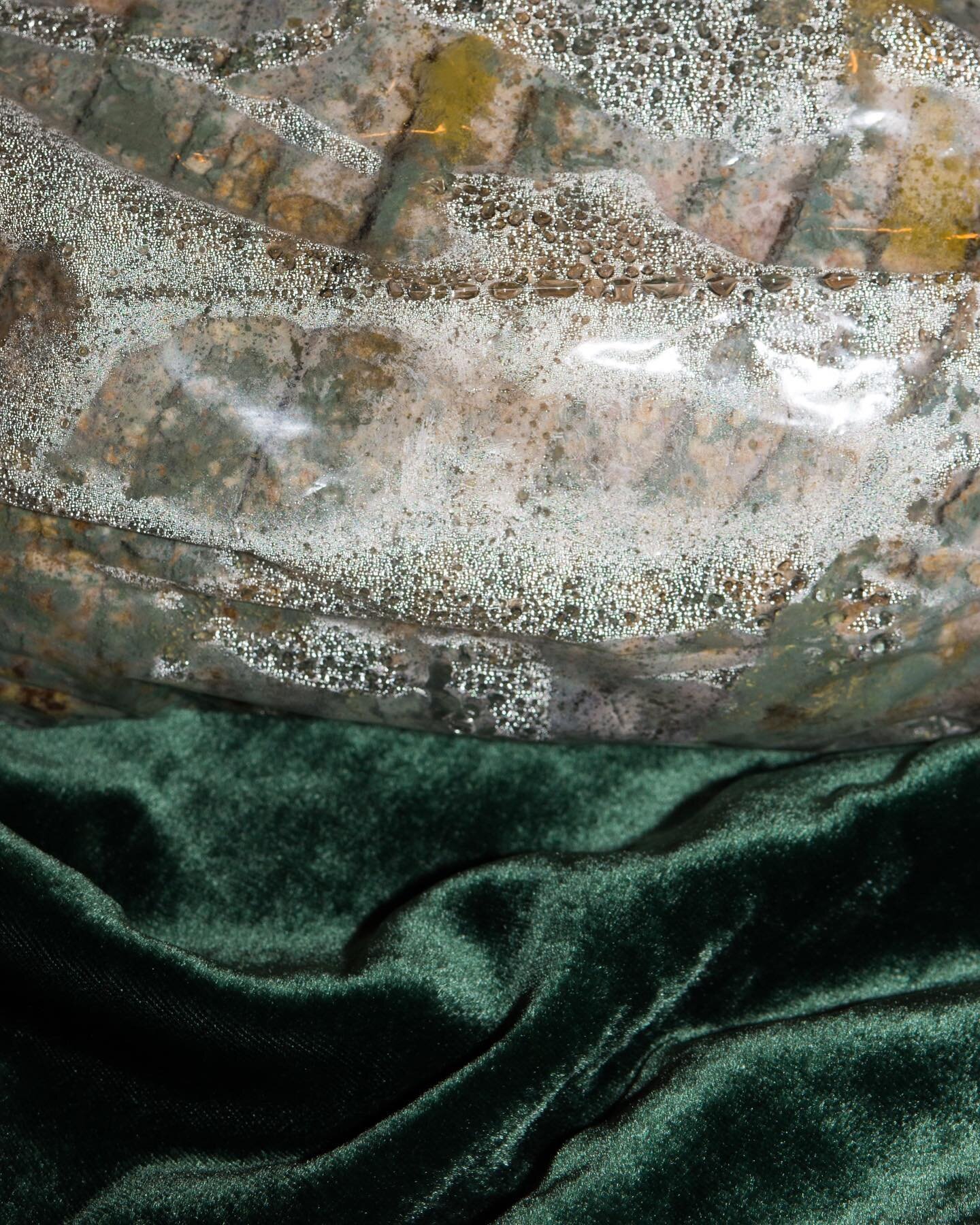 big shout out to @skylarlaman for letting this bread mold so i could take a picture of it