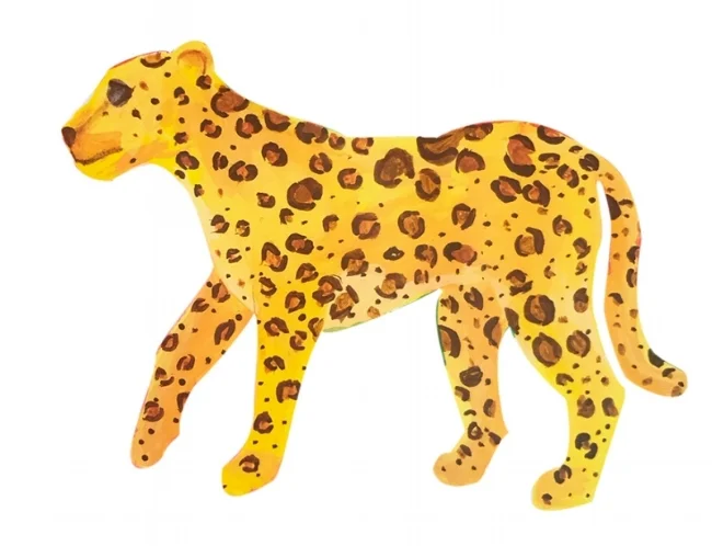cheetah 3.jpg