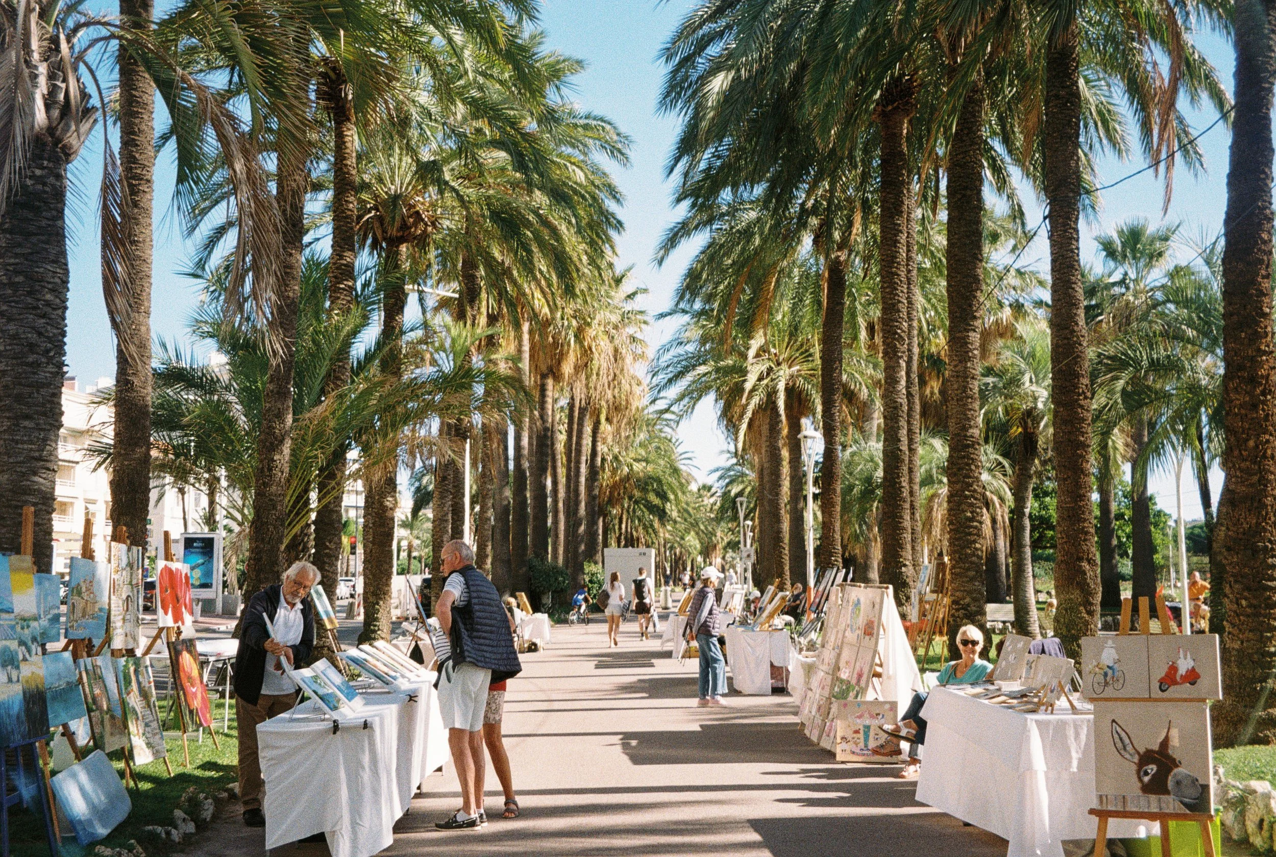 Hope Taudevin-293-487.JPG