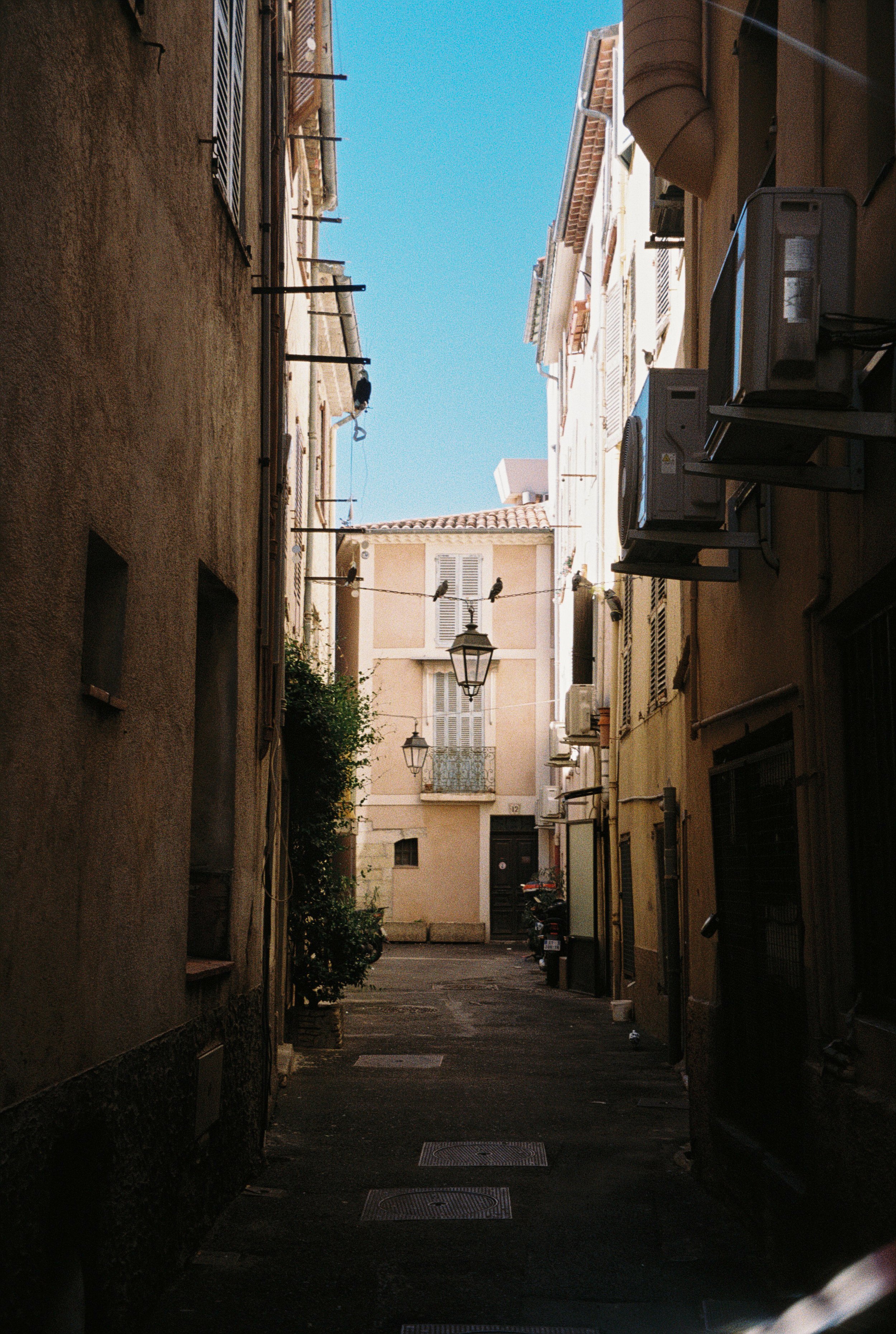 Hope Taudevin-274-559.JPG