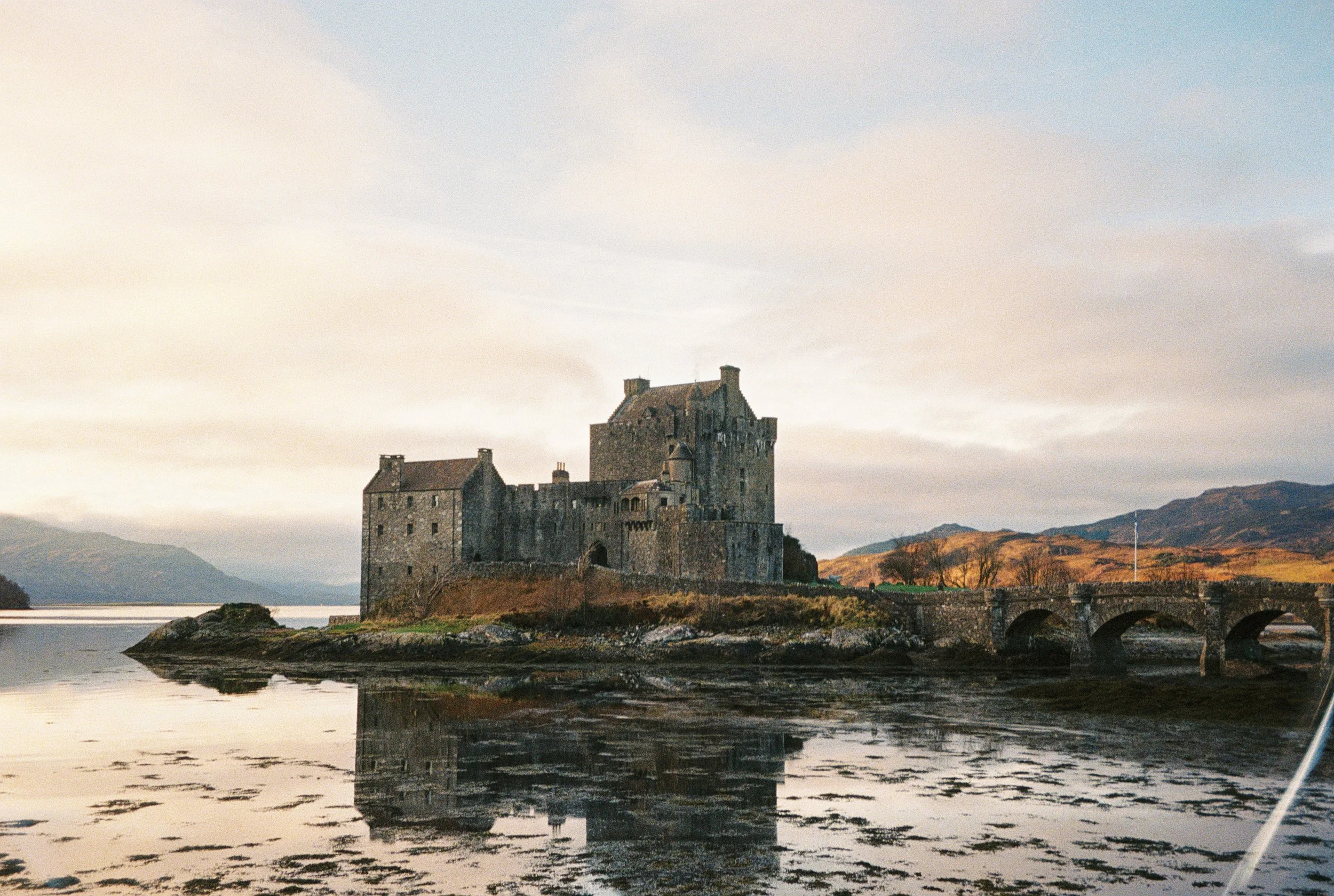 Hope Taudevin-221-415 2.JPG