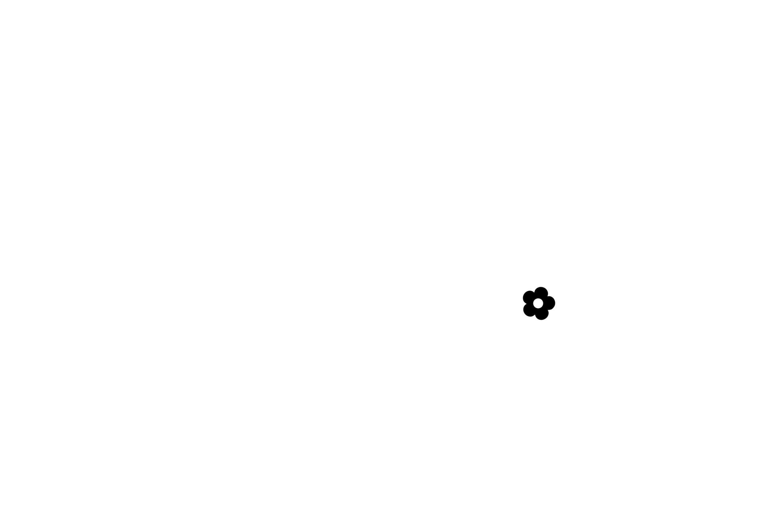 middle image.jpg