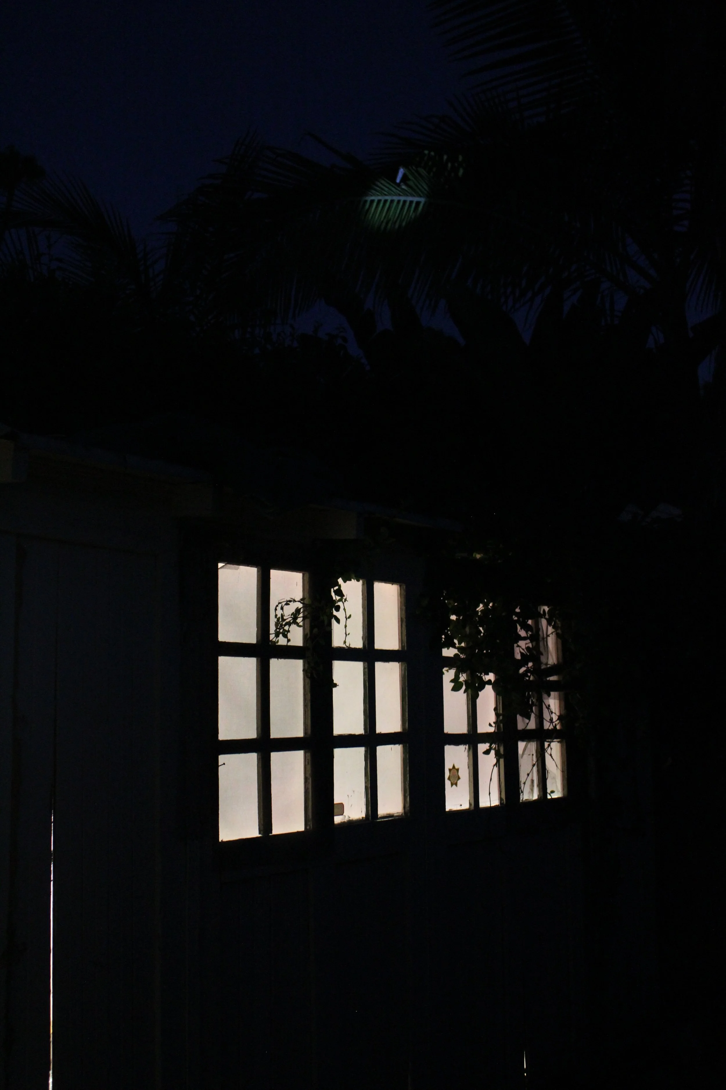 shed_072313_0136.jpg