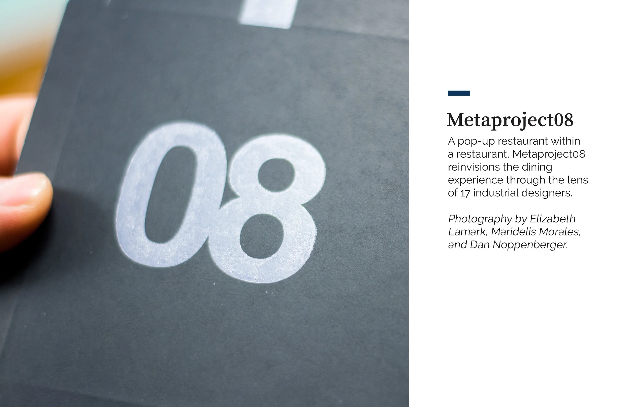metaproject correction.jpg