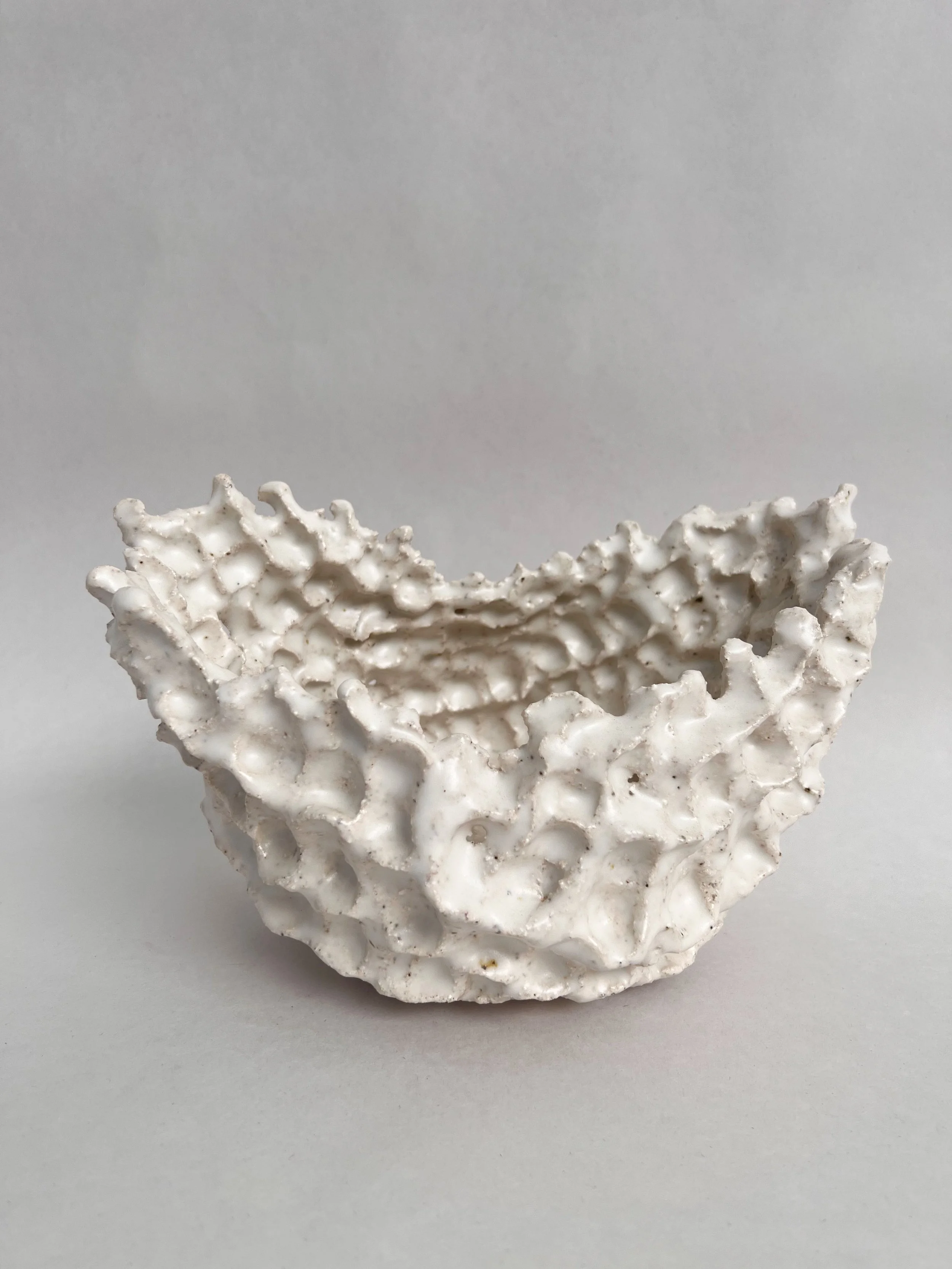 untitled 2022.1.jpeg