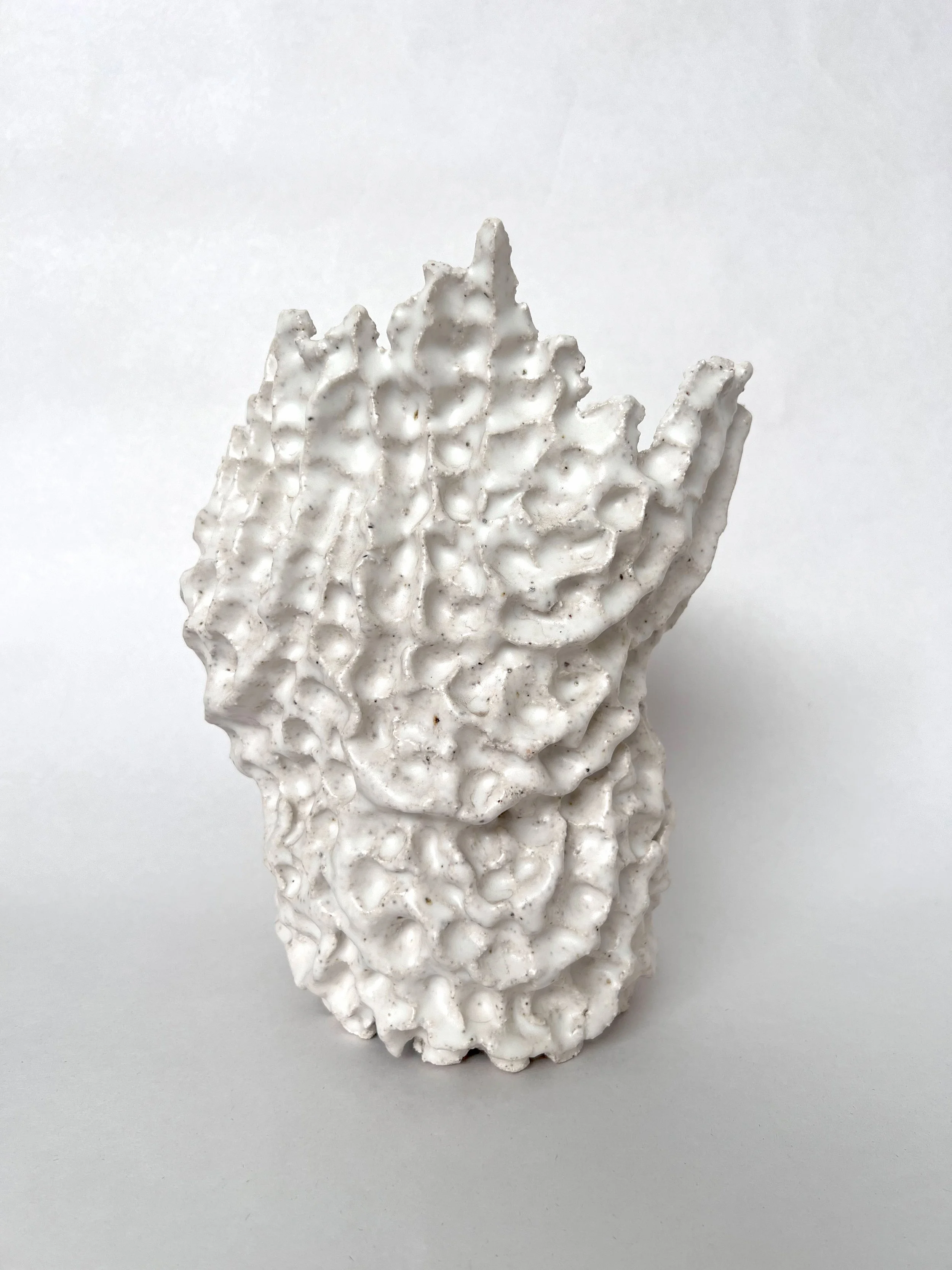 untitled 2022 3.jpeg