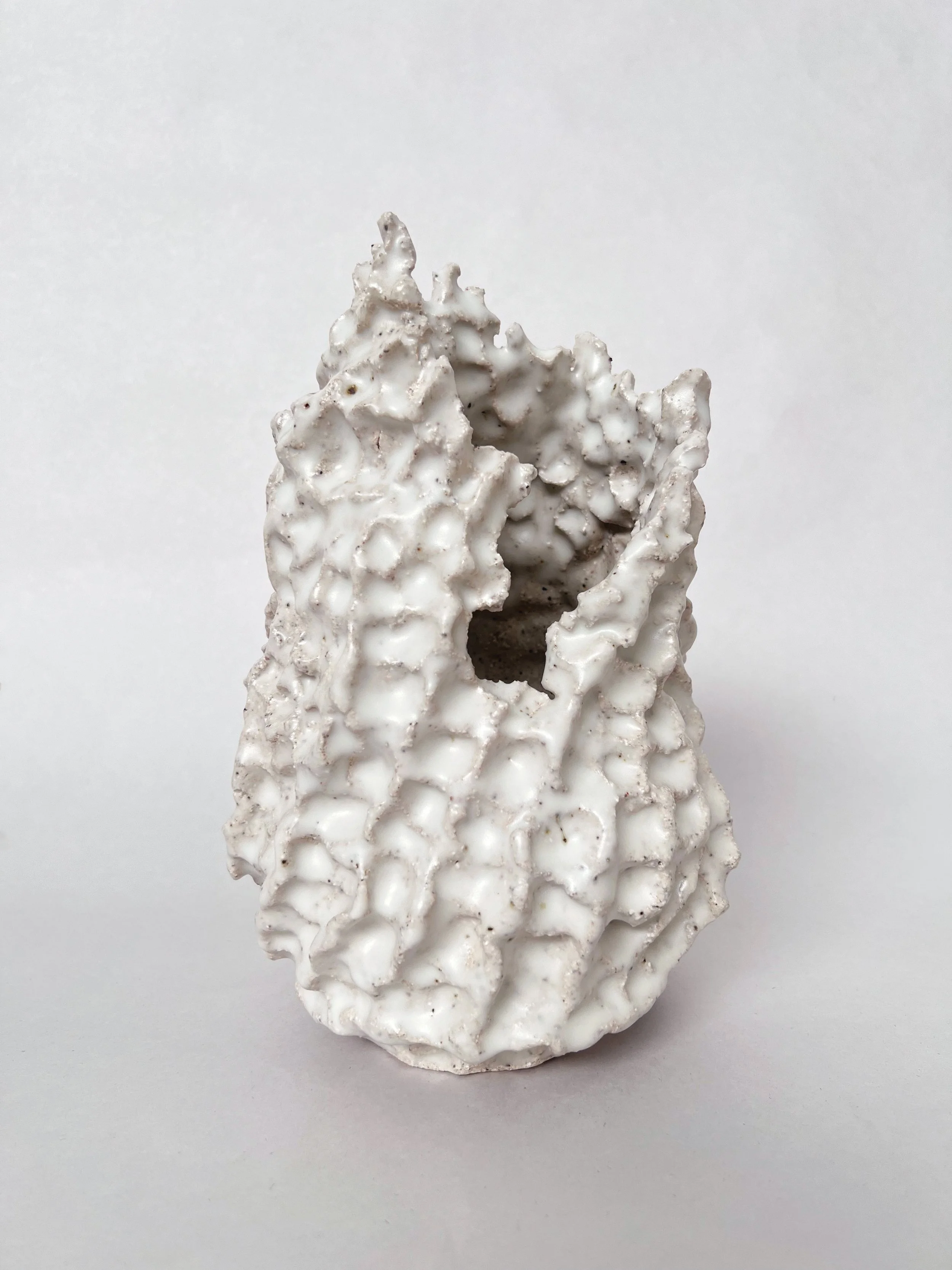 untitled 2022 4.1.jpeg