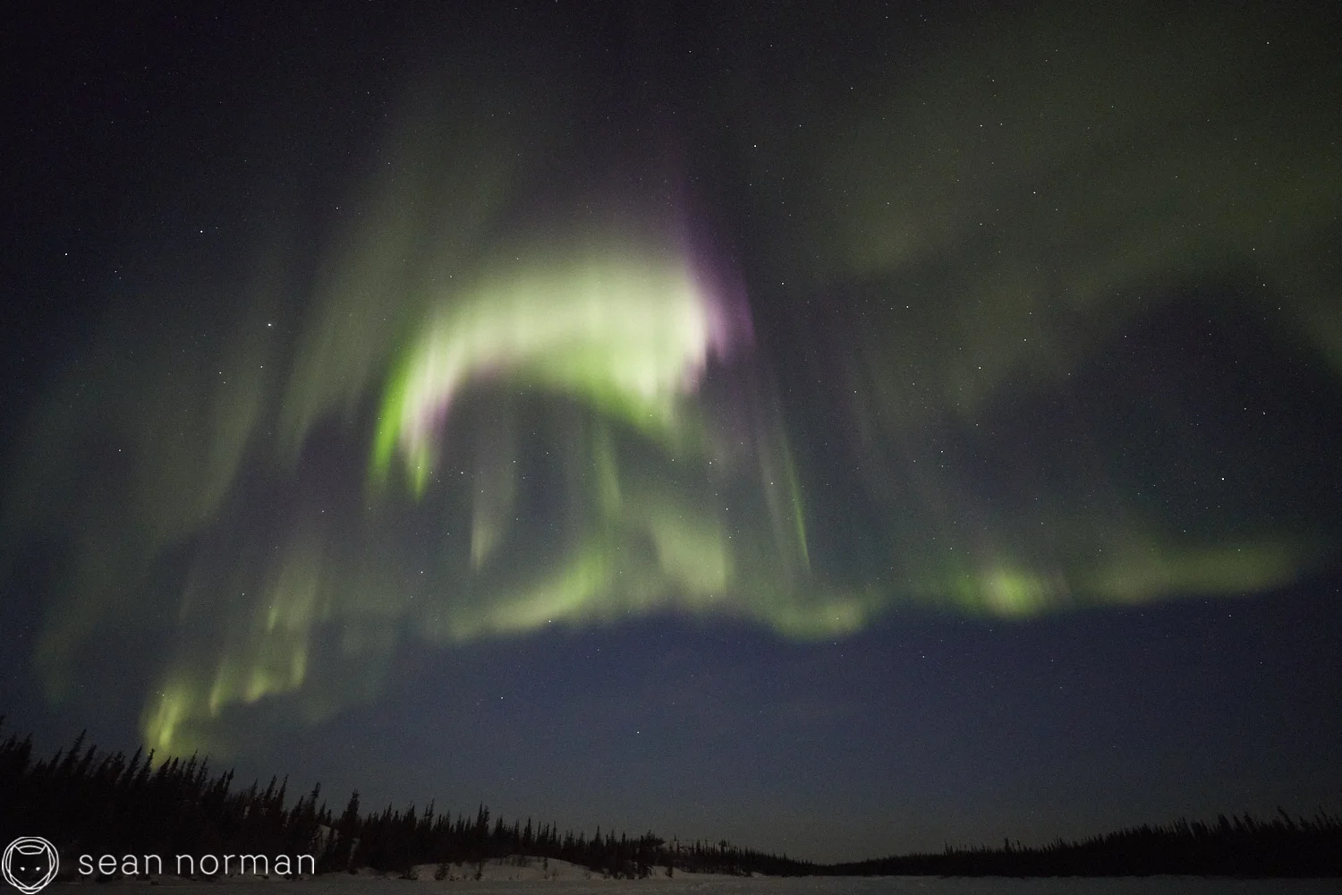 Yellowknife Aurora Guide - Aurora Hunting Tour - 4.jpg
