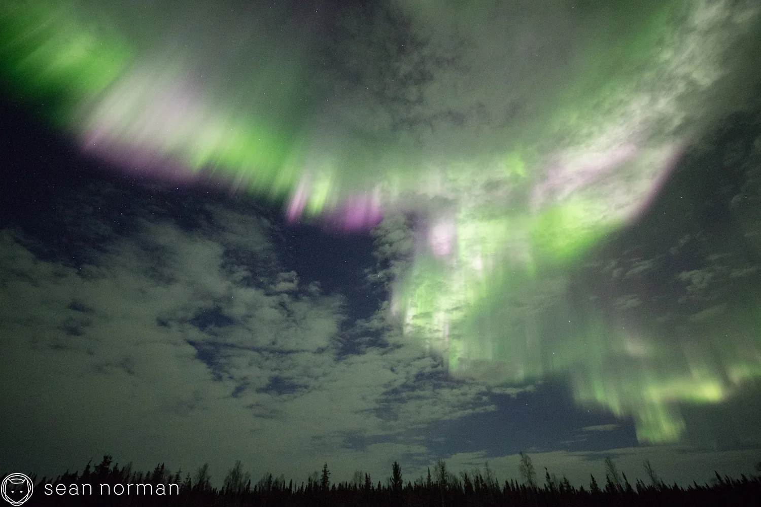 Yellowknife Aurora Blog - Aurora Hunting Tour - 6.jpg