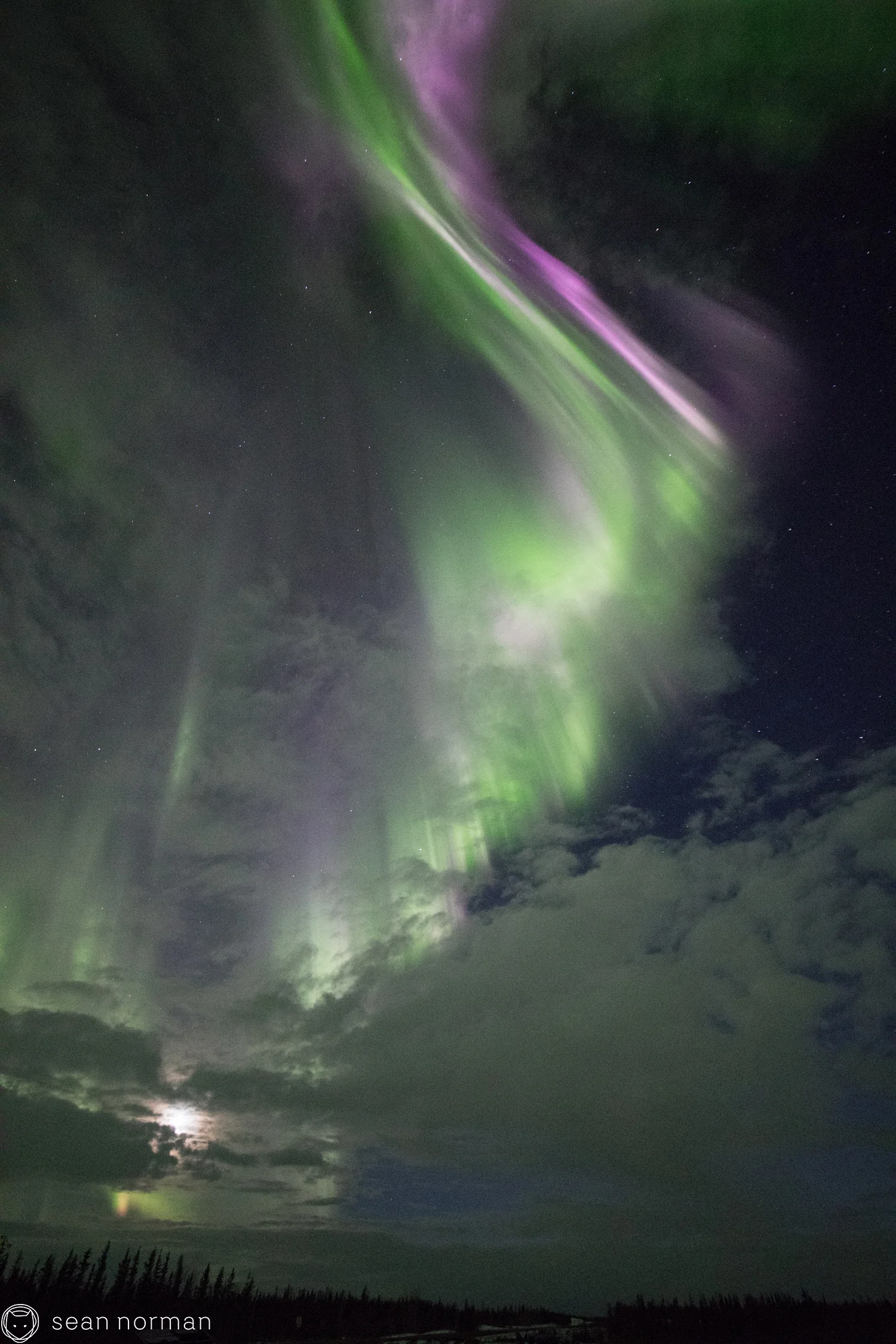 Yellowknife Aurora Blog - Aurora Hunting Tour - 5.jpg