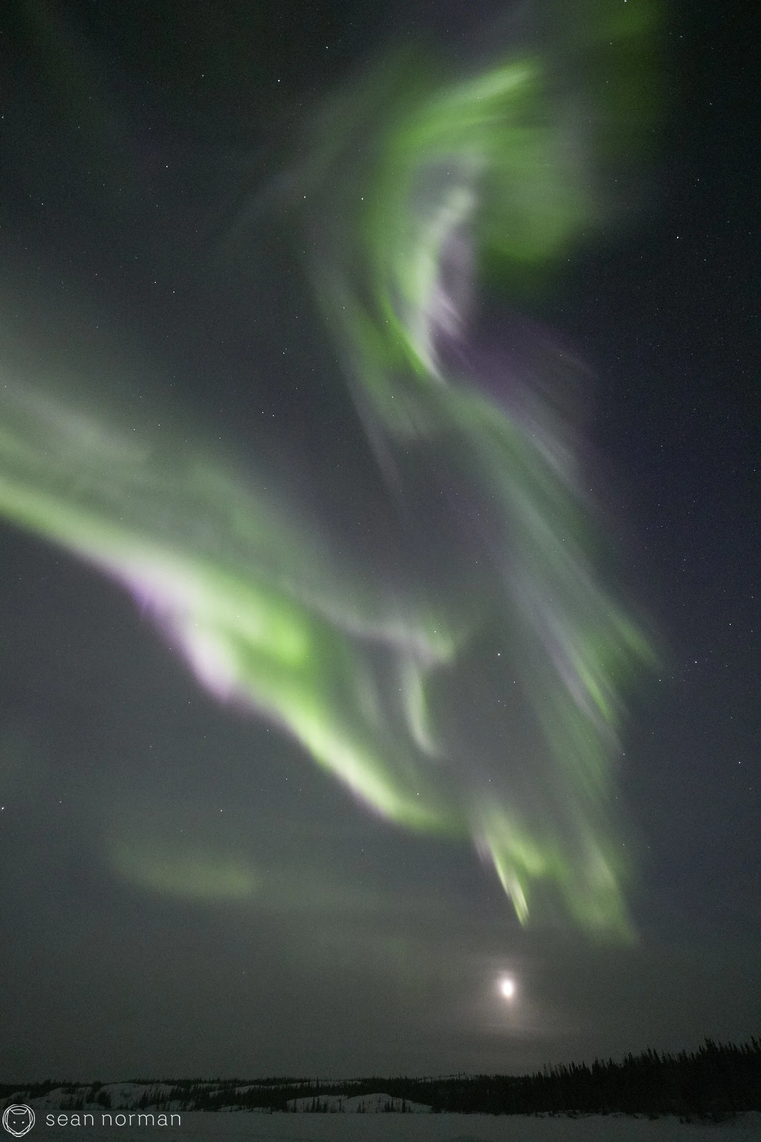 Yellowknife Aurora Tour Guide - Northern Light Photography - Aurora Chaser - 19.jpg