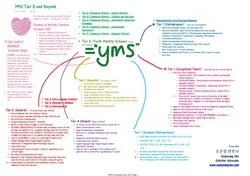 YMS Visa chart.jpg