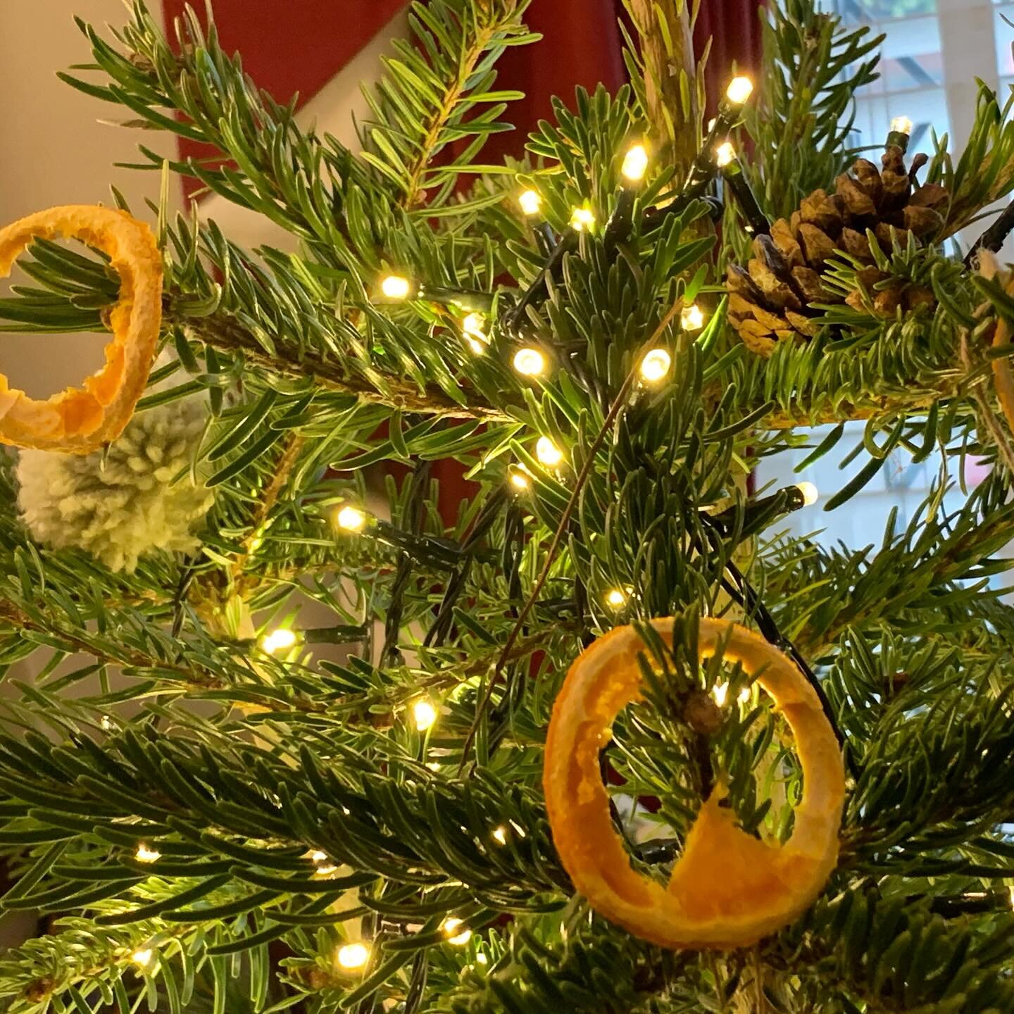 Why, hello, first day of the last month of the year! 

#whoa
#mindblown
#timeflies
#timetravel
#legalyear
#michaelmas
#christmas2023
#london 🇬🇧 
#lawyer
#solicitor
#ukimmigration 
#lawyermum
#lawyermom 
#christmaspommander 
#orange
#cloves 

☝️ Fir
