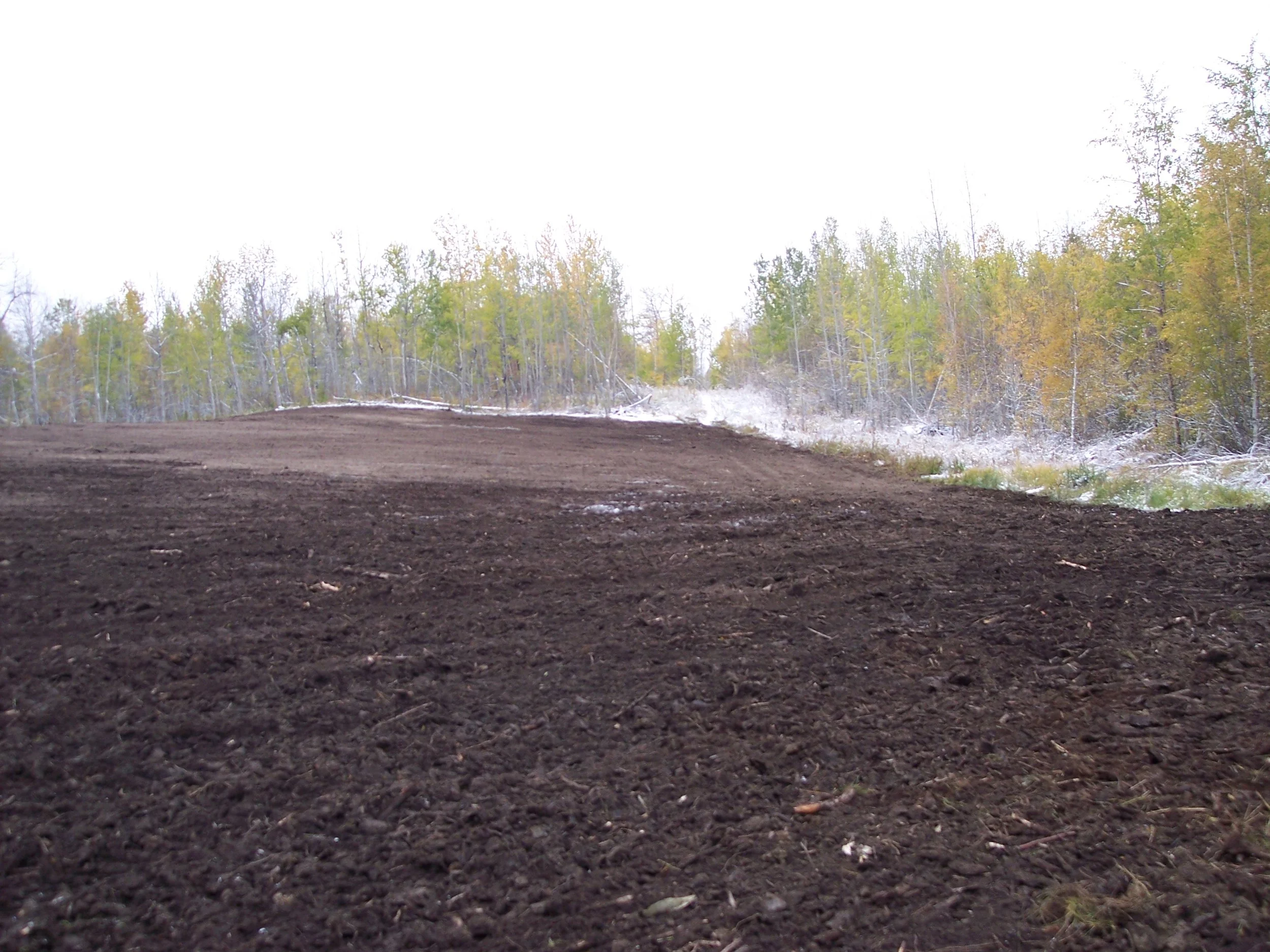 2010-02-21 16.50.36.jpg