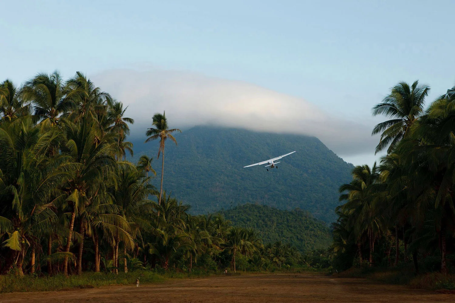 plane-low.jpg