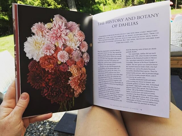 Celebrating Mother&rsquo;s Day with a bit of reading!!! This wonderful weather is making me dream of my Dahlia garden and what it will look like this summer. With being quarantined it has given me extra time to pull weeds and compost so it should be 
