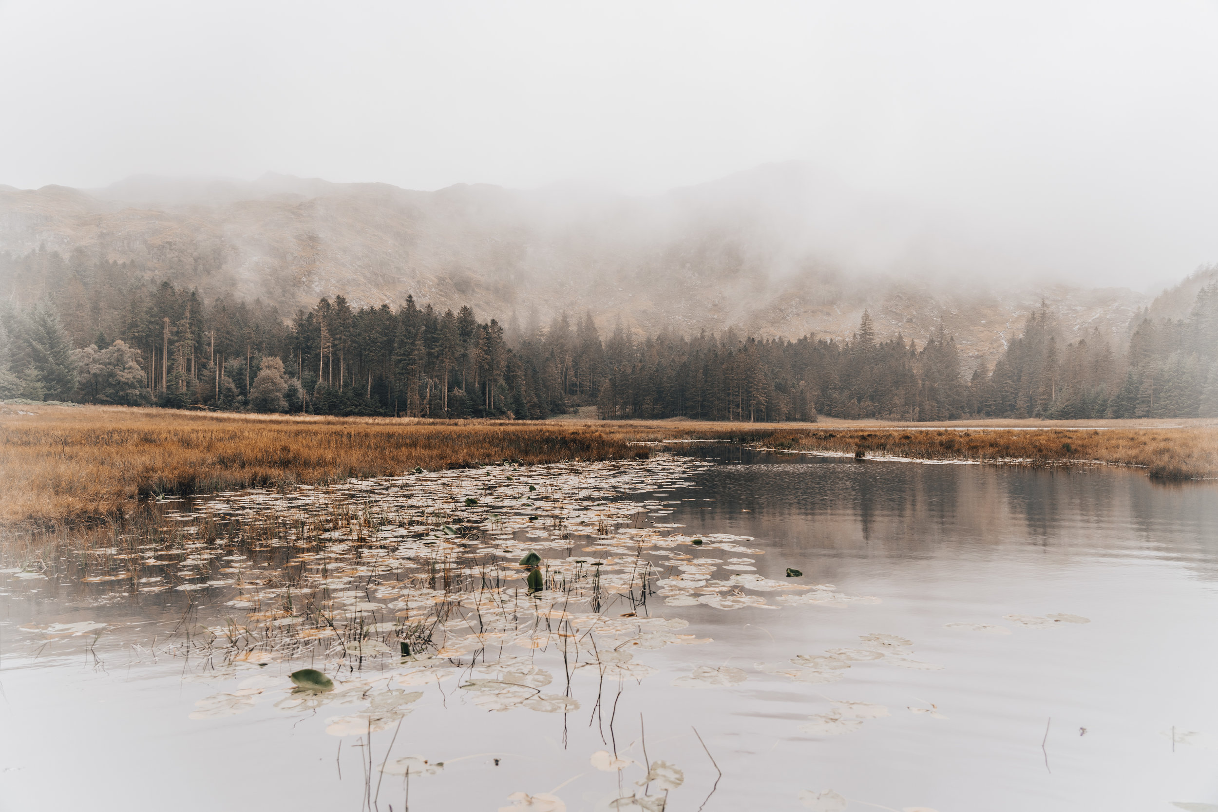 The Rivers Will Not Sweep Over You