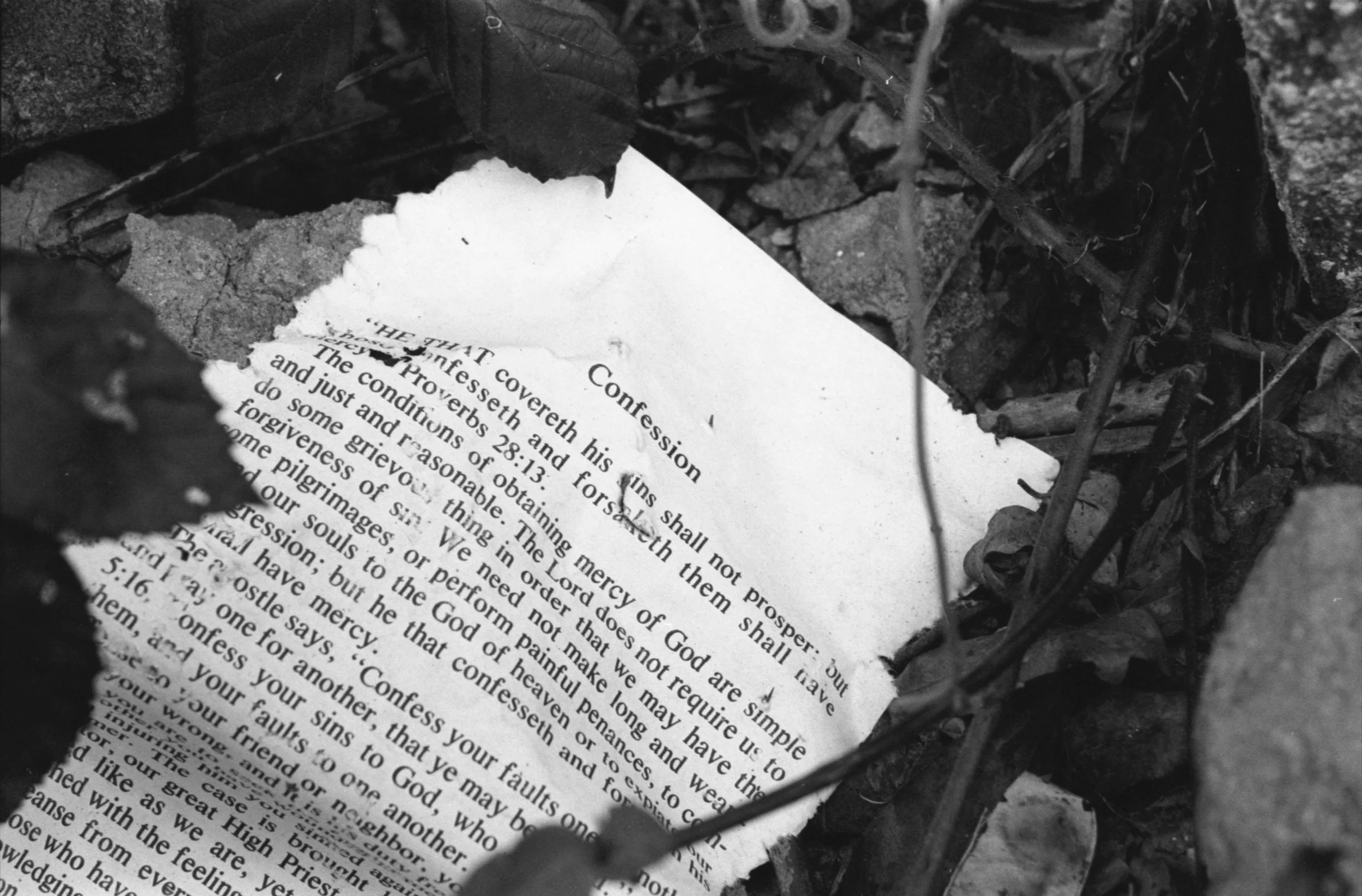 paper about confession