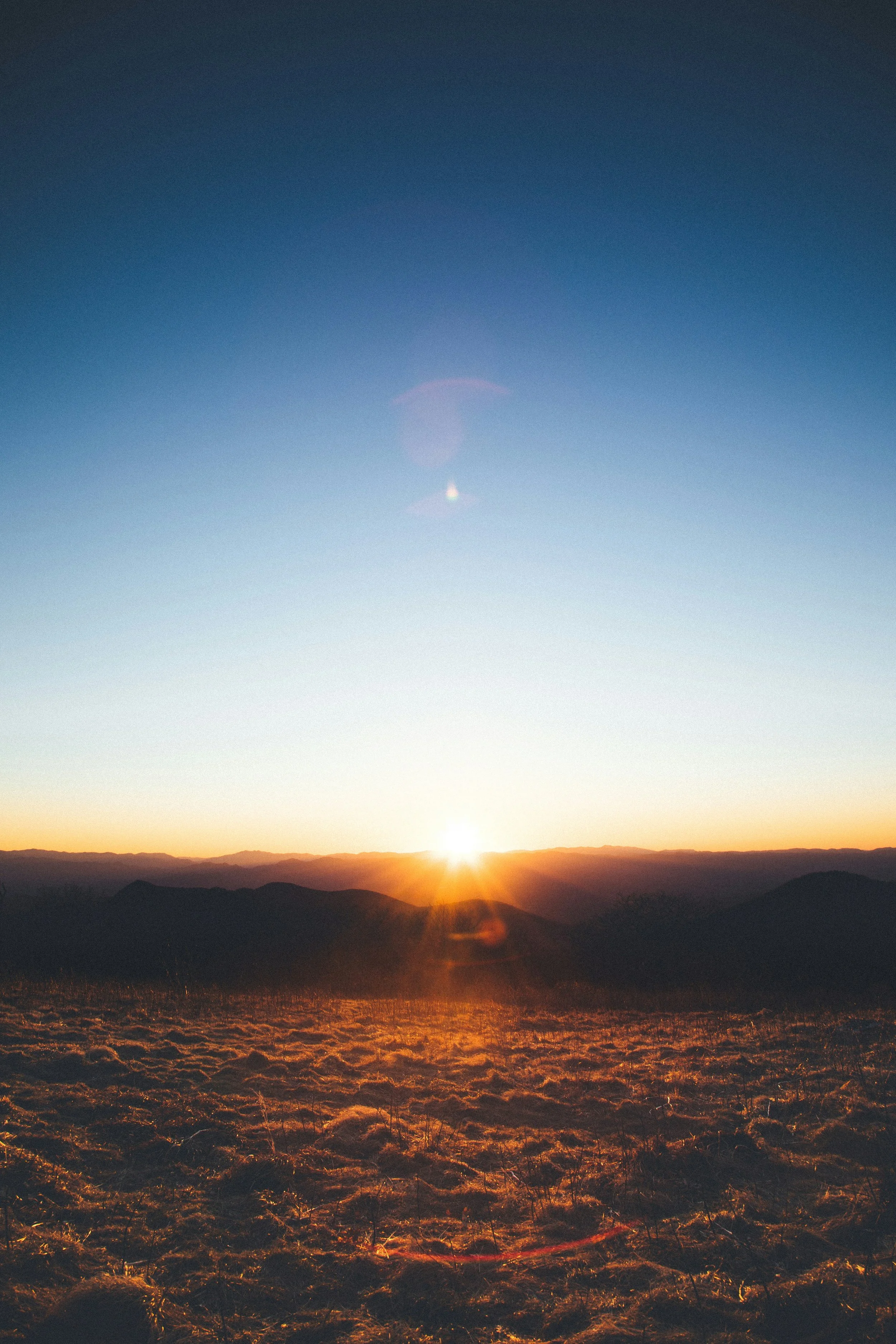 hopeful landscape