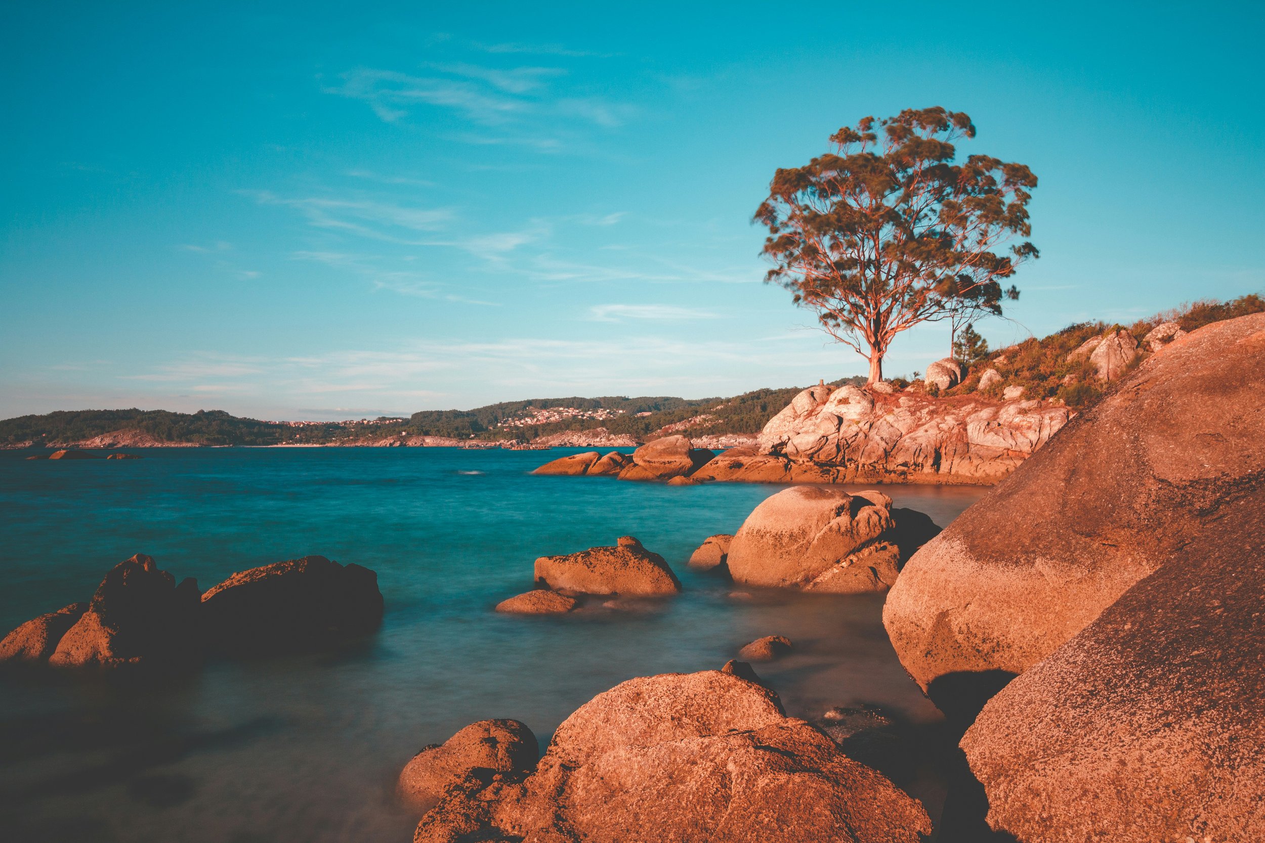 coastal landscape