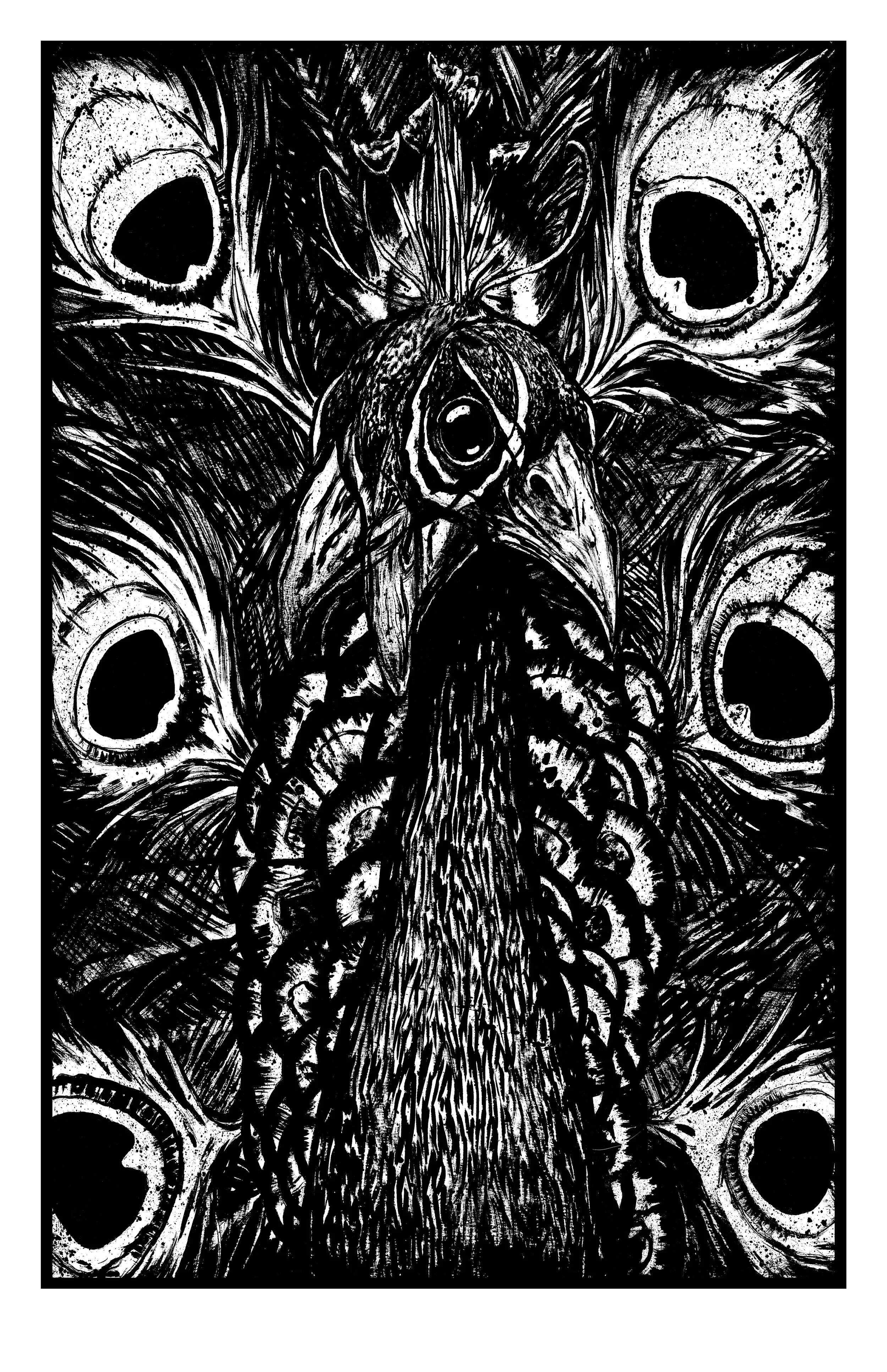 peacock