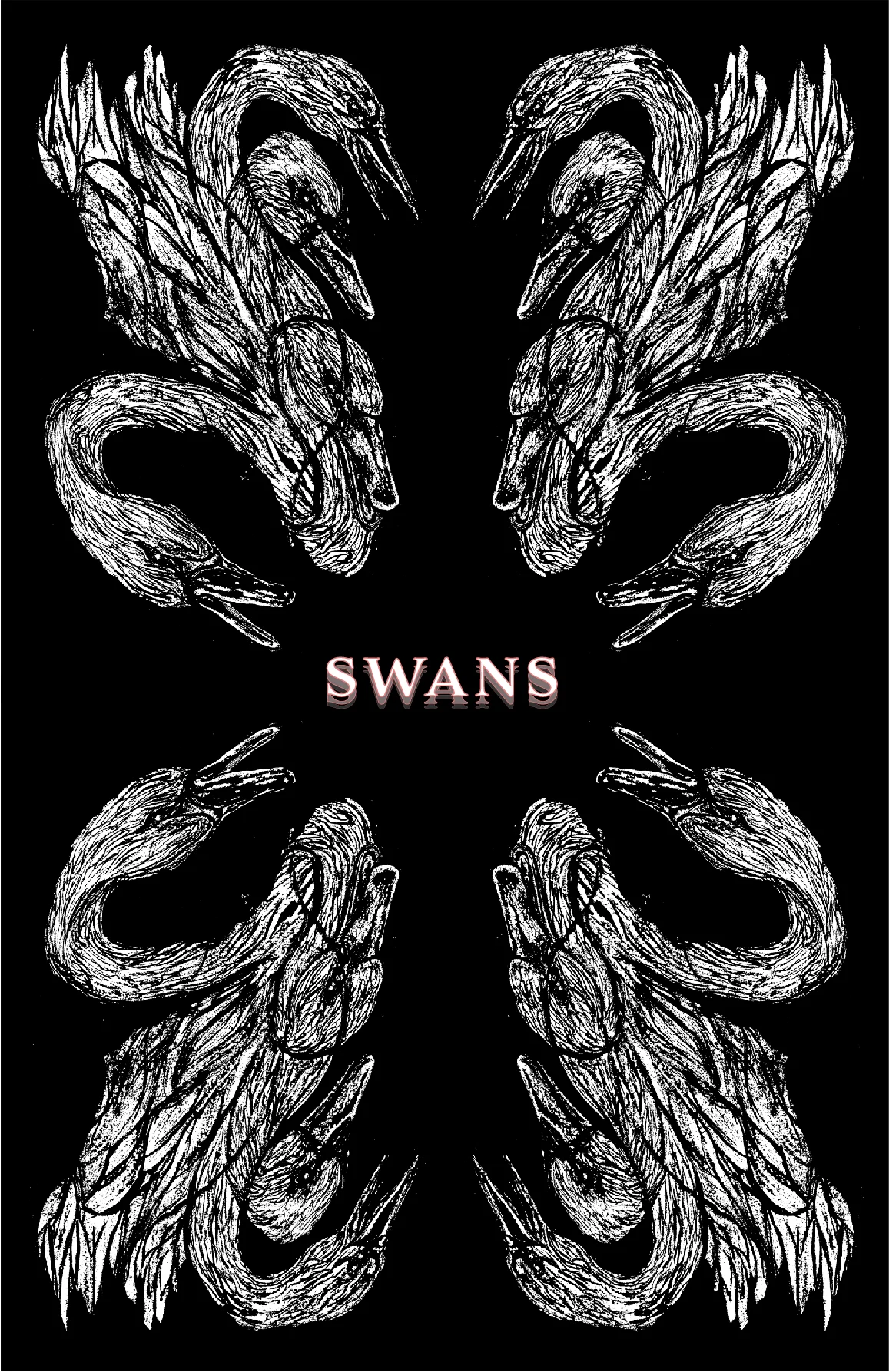 Swans