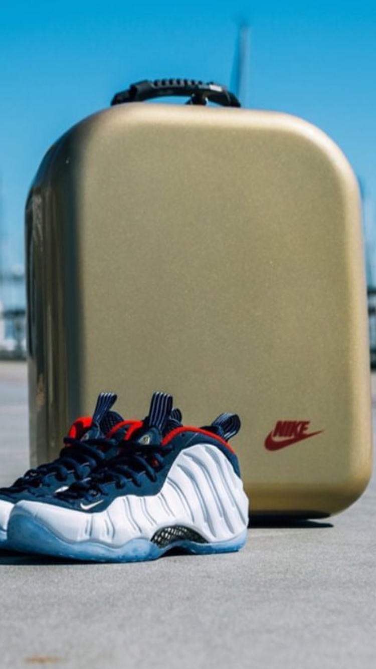 Nike Foamposite Custom Shoe Case