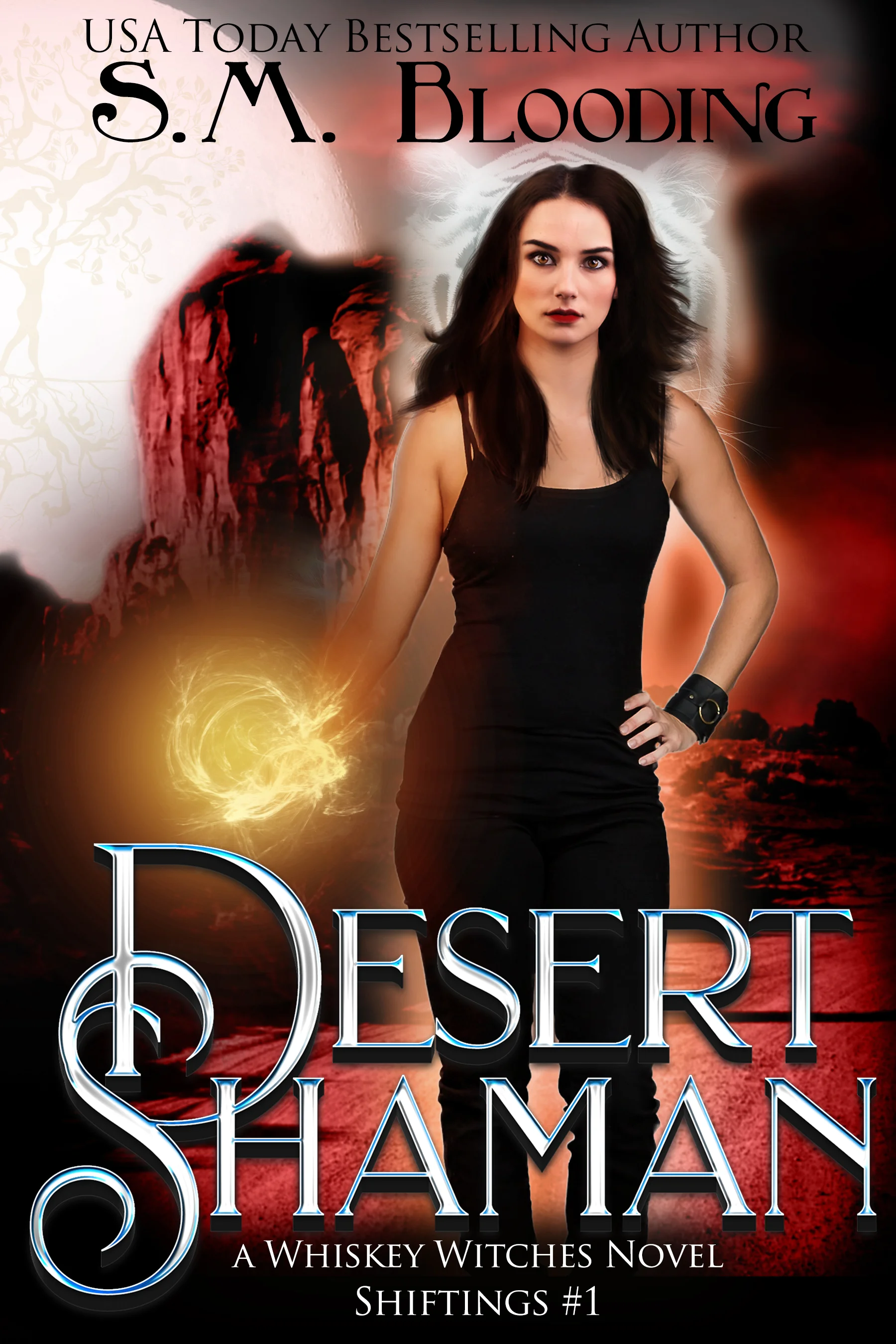 5b Desert Shaman ebook.jpg