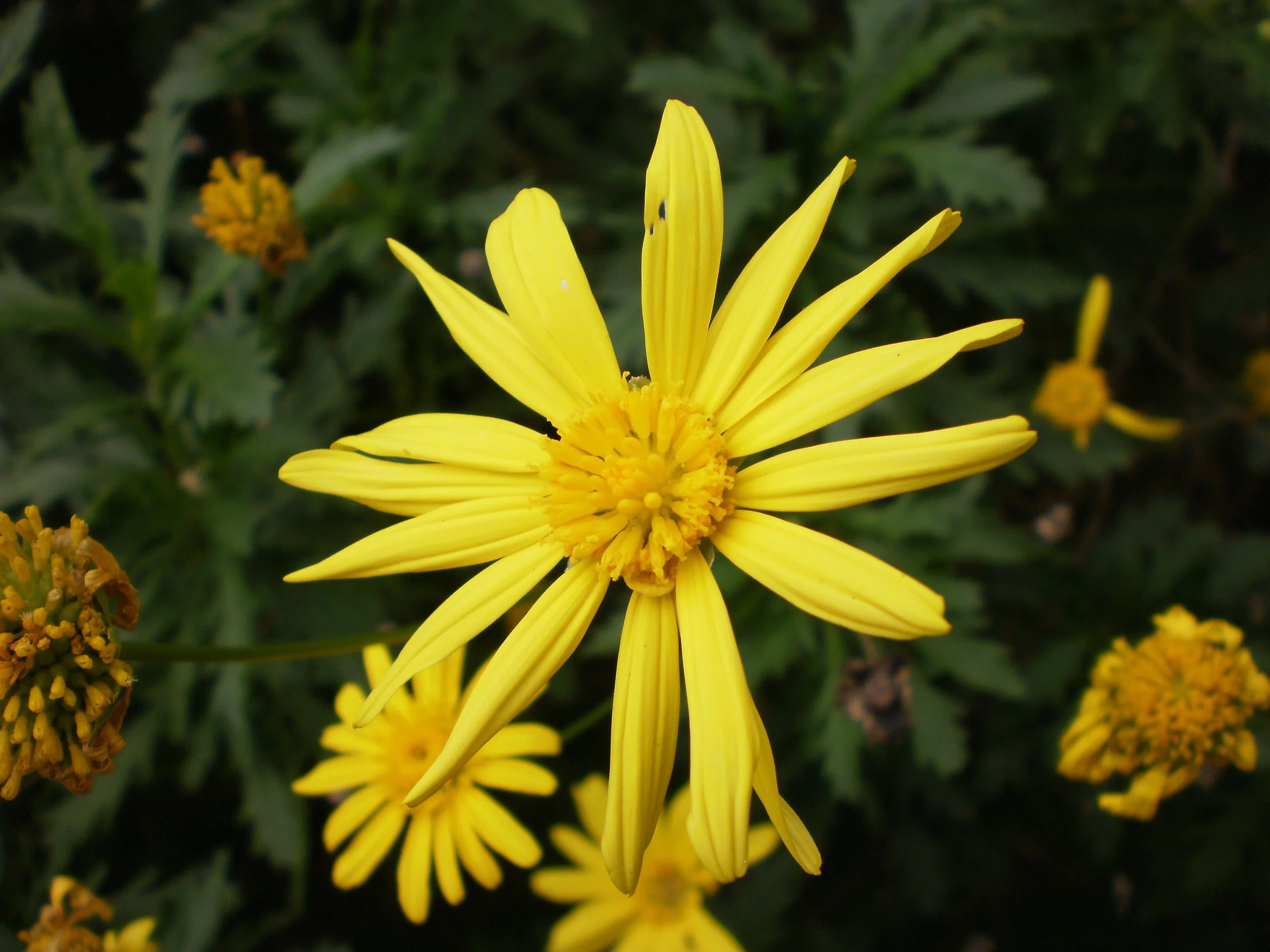  Springtime in the gardens. 
