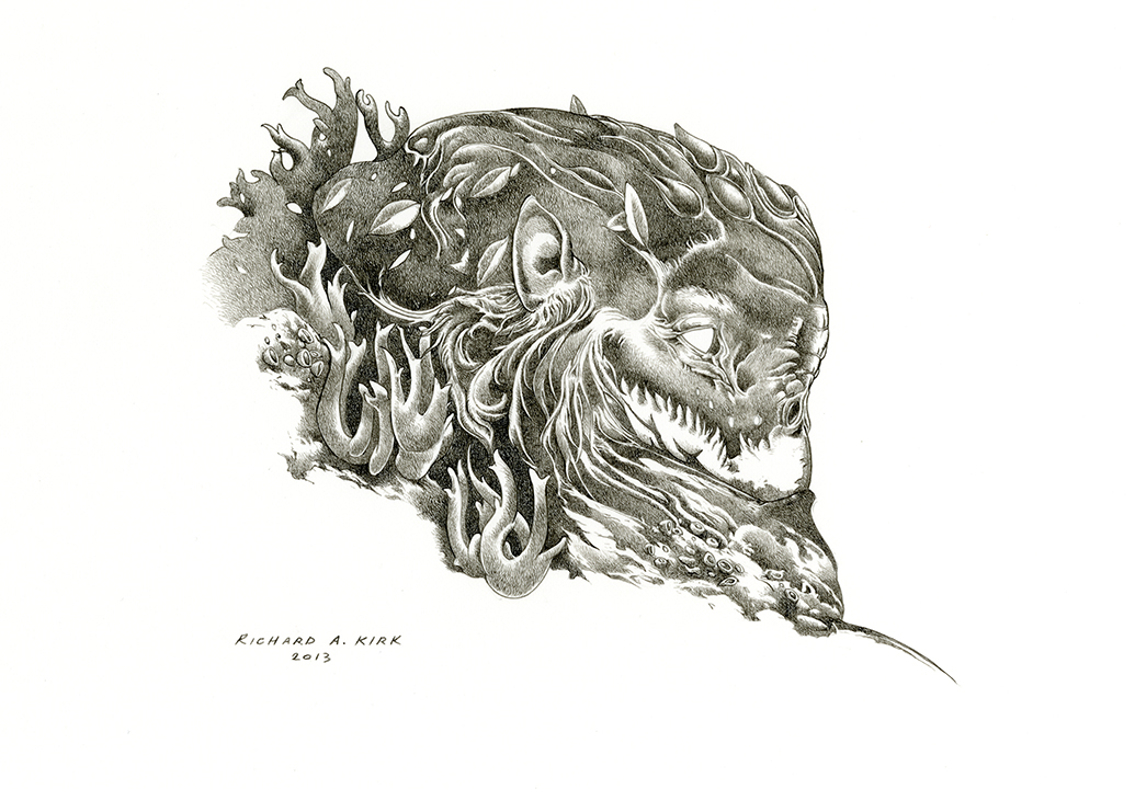 Staghorn 2013, ink on paper, 9" x 12"