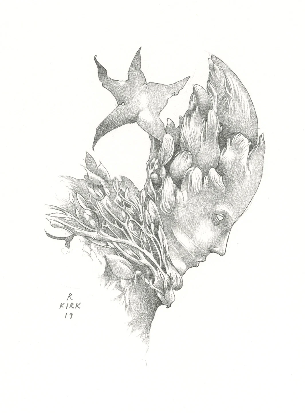 Starstruck, 2019, graphite, approximately 8” x 7”