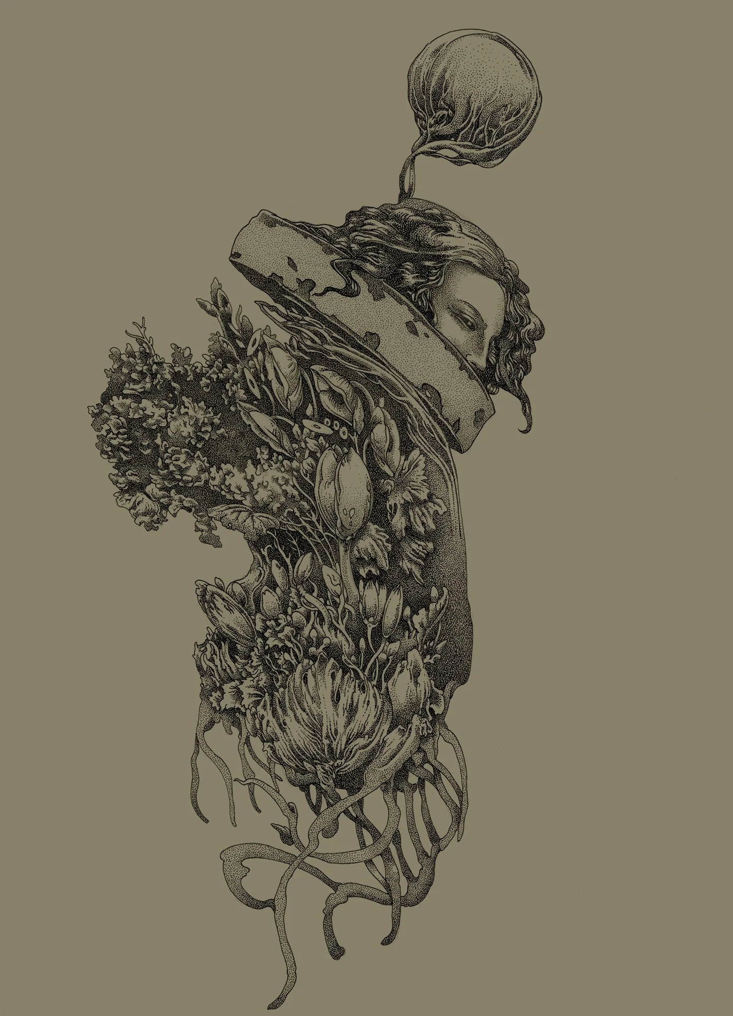 epiphyte-colour.jpg