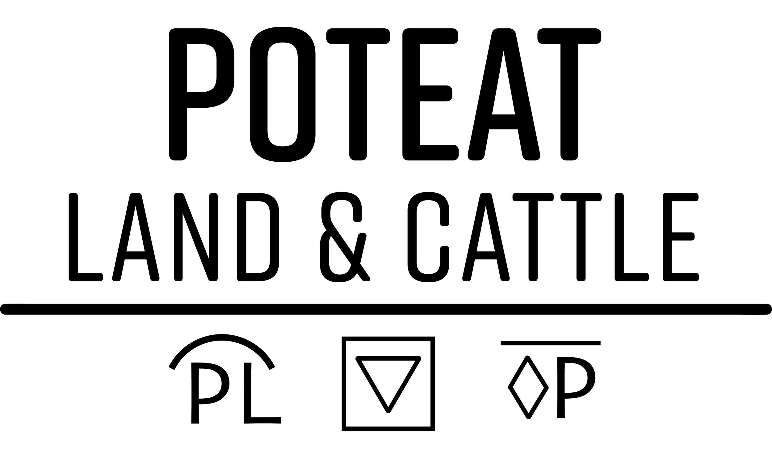 PoteatLand&Cattle.jpg