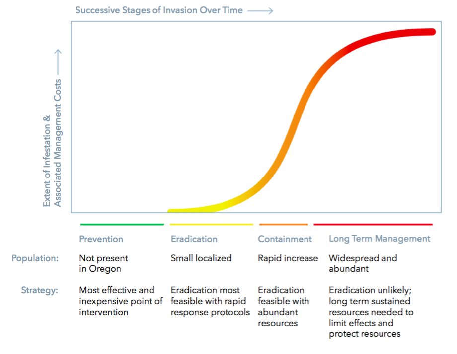 THIS DIAGRAM, DERIVED FROM SEVERAL DEPICTIONS OF THE INVASIVE SPECIES CURVE, WAS CREATED BY THE OREGON INVASIVE SPECIES COUNCIL TO HELP MANAGERS UNDERSTAND HOW TO ASSESS THE RISK PRESENTED BY DIFFERENT STAGES OF INVASION. ILLUSTRATION BY STUDIO CLEAR .