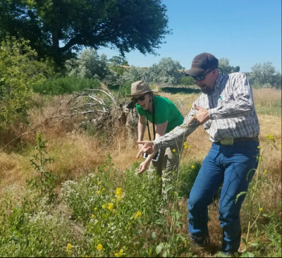 Following the Information Forum, several attendees took an impromptu field trip out to a nearby location that has been invaded by garlic mustard and other invasive weeds. Pictured: Michelle Delepine, Council member & Theodore Orr, Umatilla Co. Weed Supervisor. Photo Credit: Wyatt Williams, Council member.